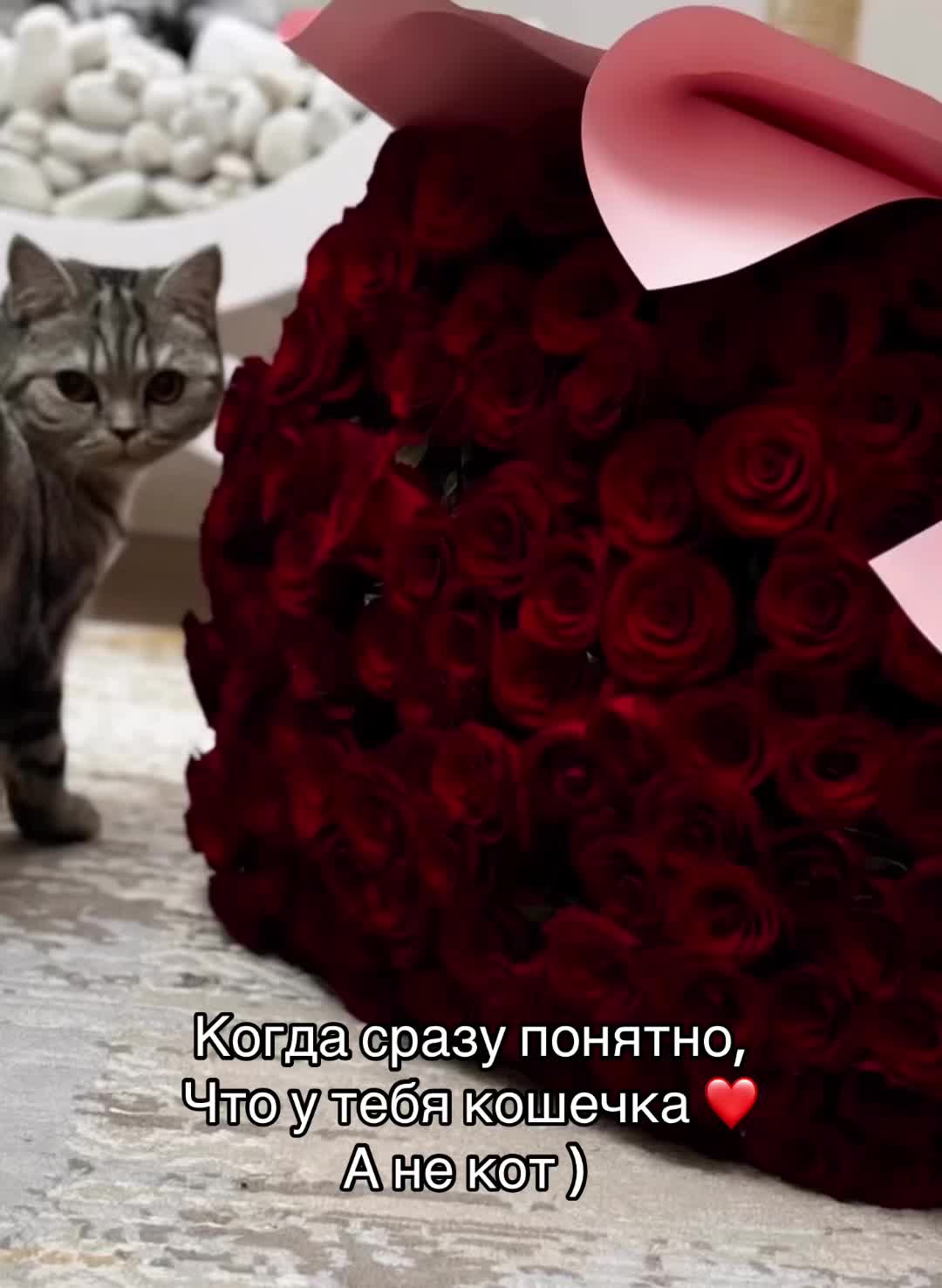 @Hamyanirina🪬