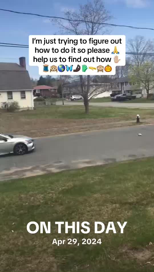 @Neite@Decimus.Papillonvert