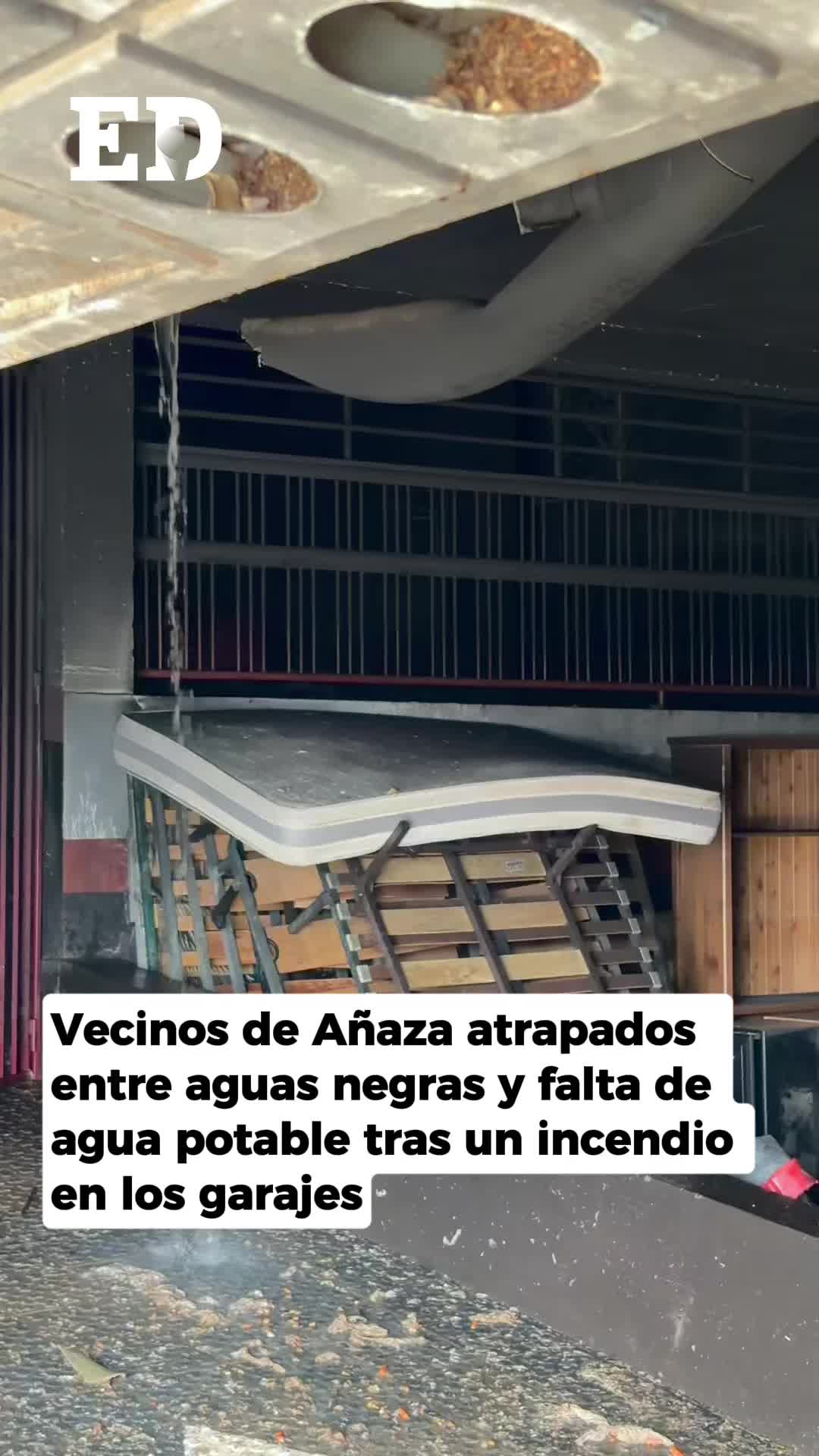 @El Día - Tenerife