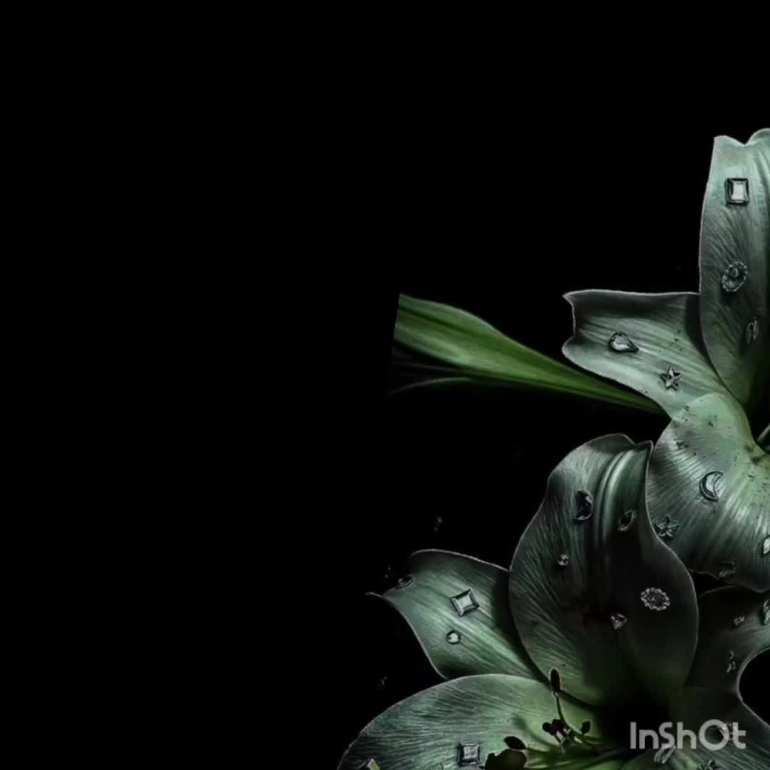 @editz.by.tani