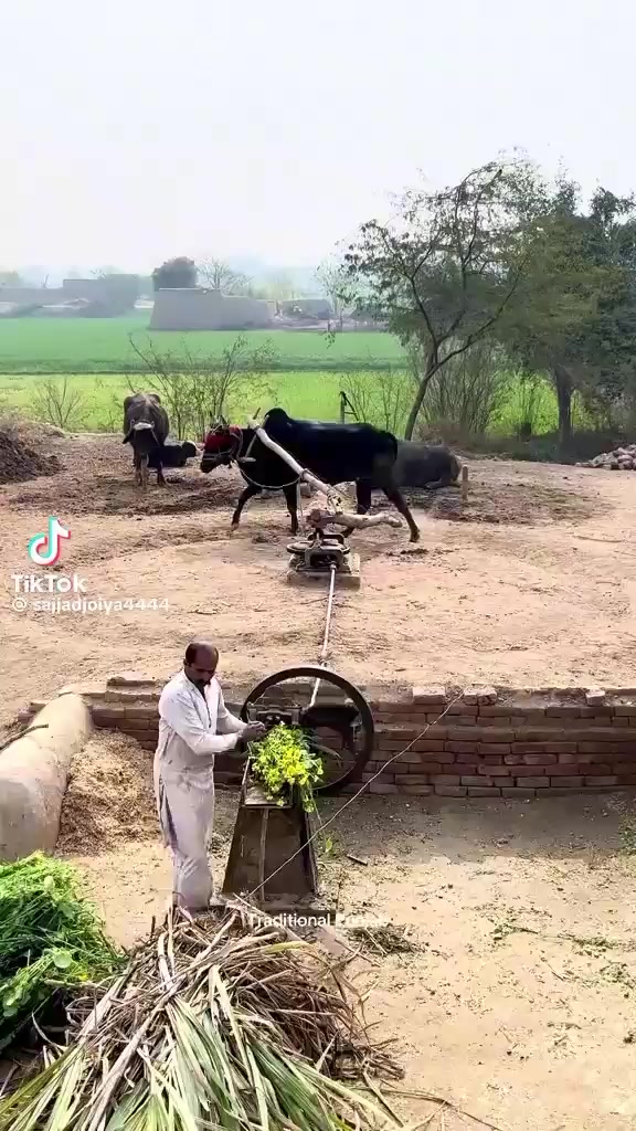 @muhammadyaqoob33721
