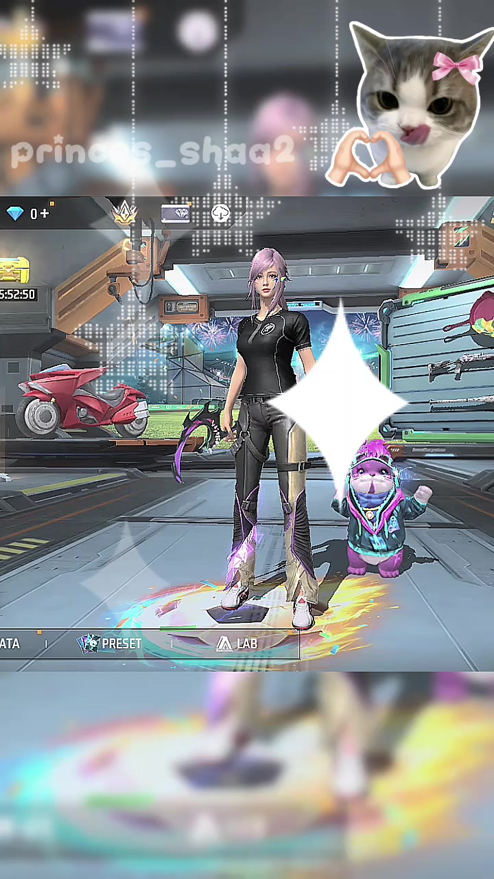 @—shaa ꪆৎ
