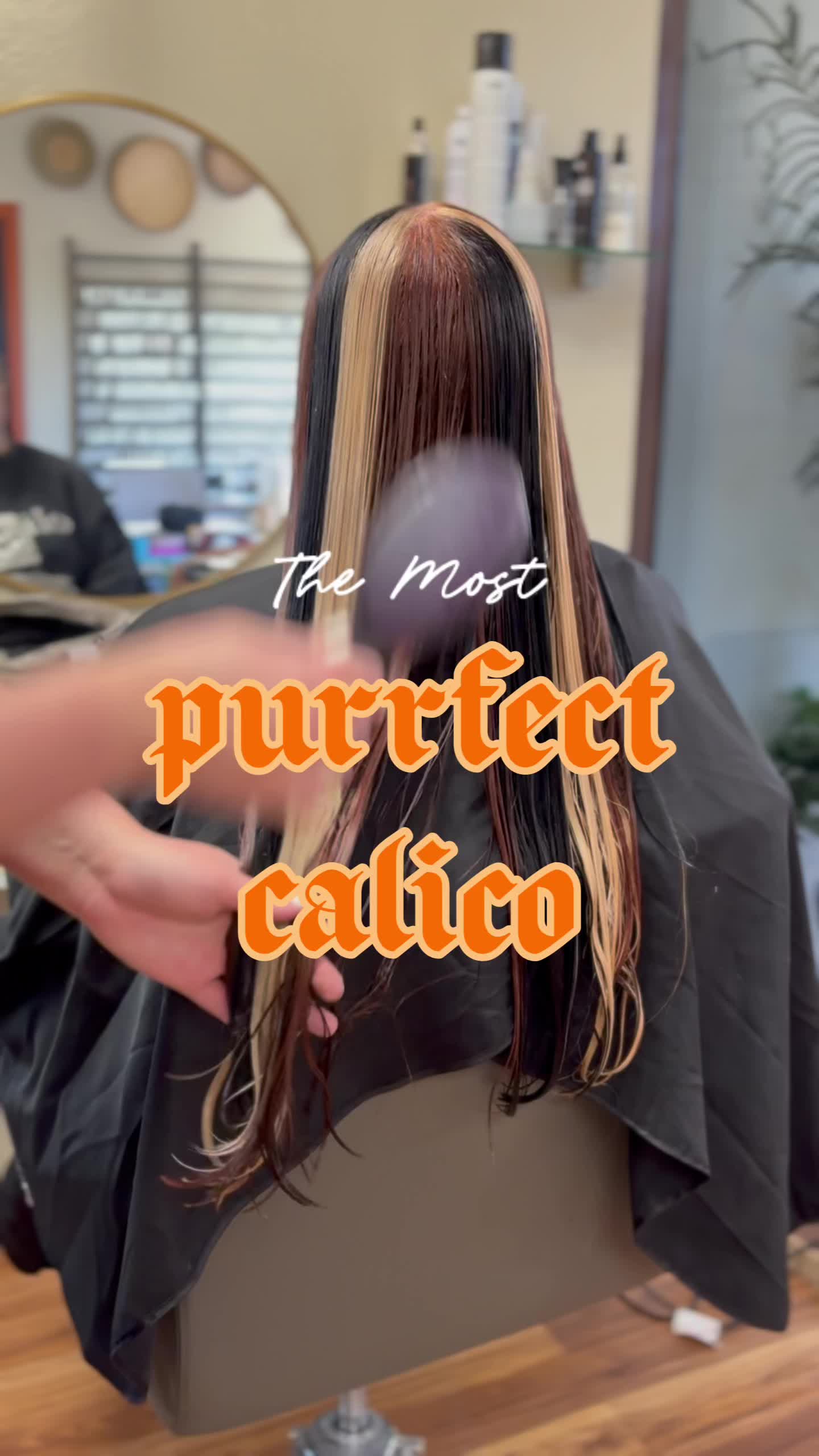 @Chase|Temecula Hairstylist
