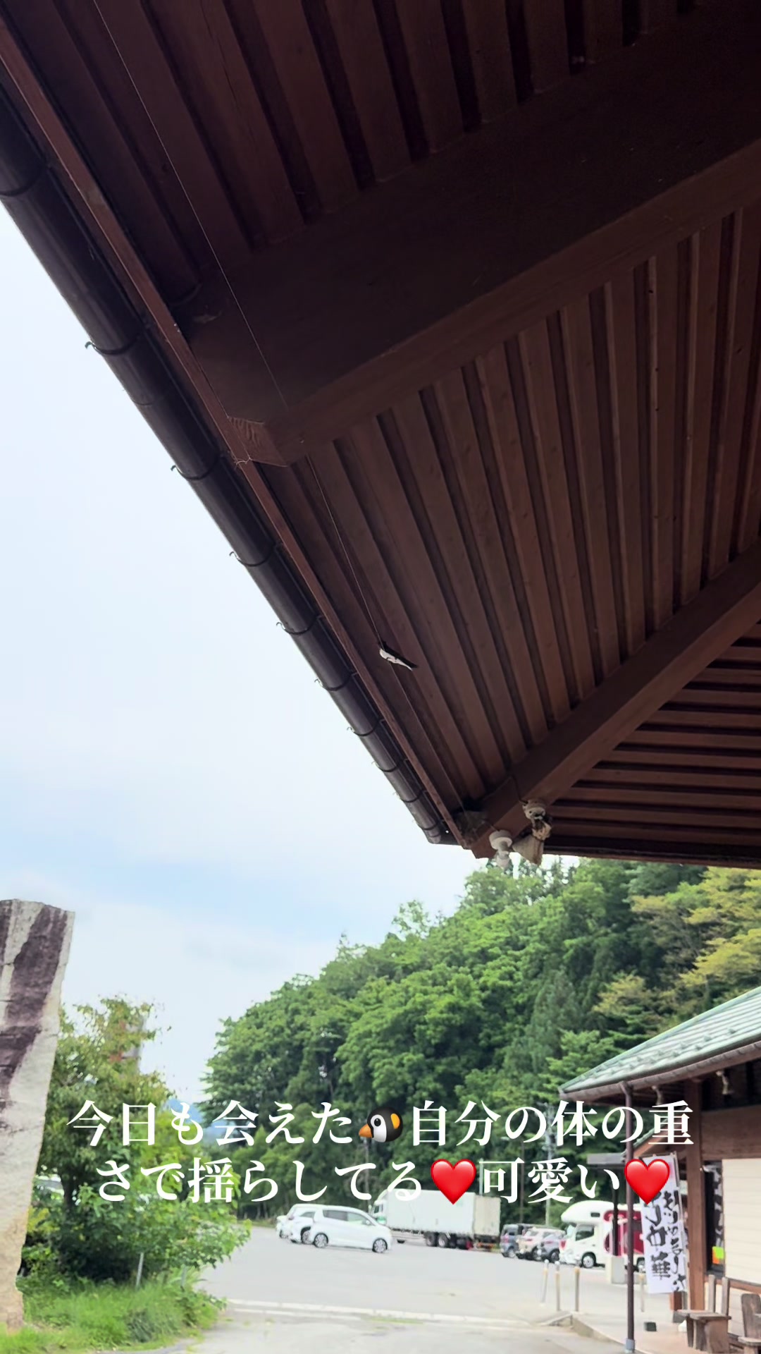 @なるみ（narumi）