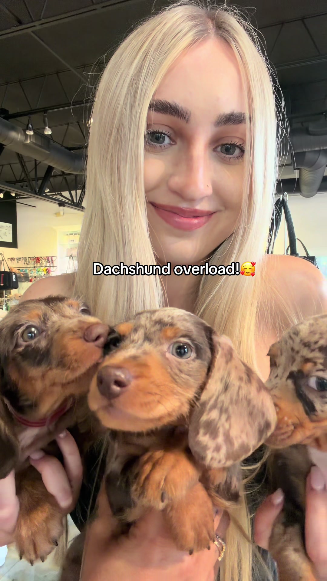 @TeaCups, Puppies & Boutique &reg;️