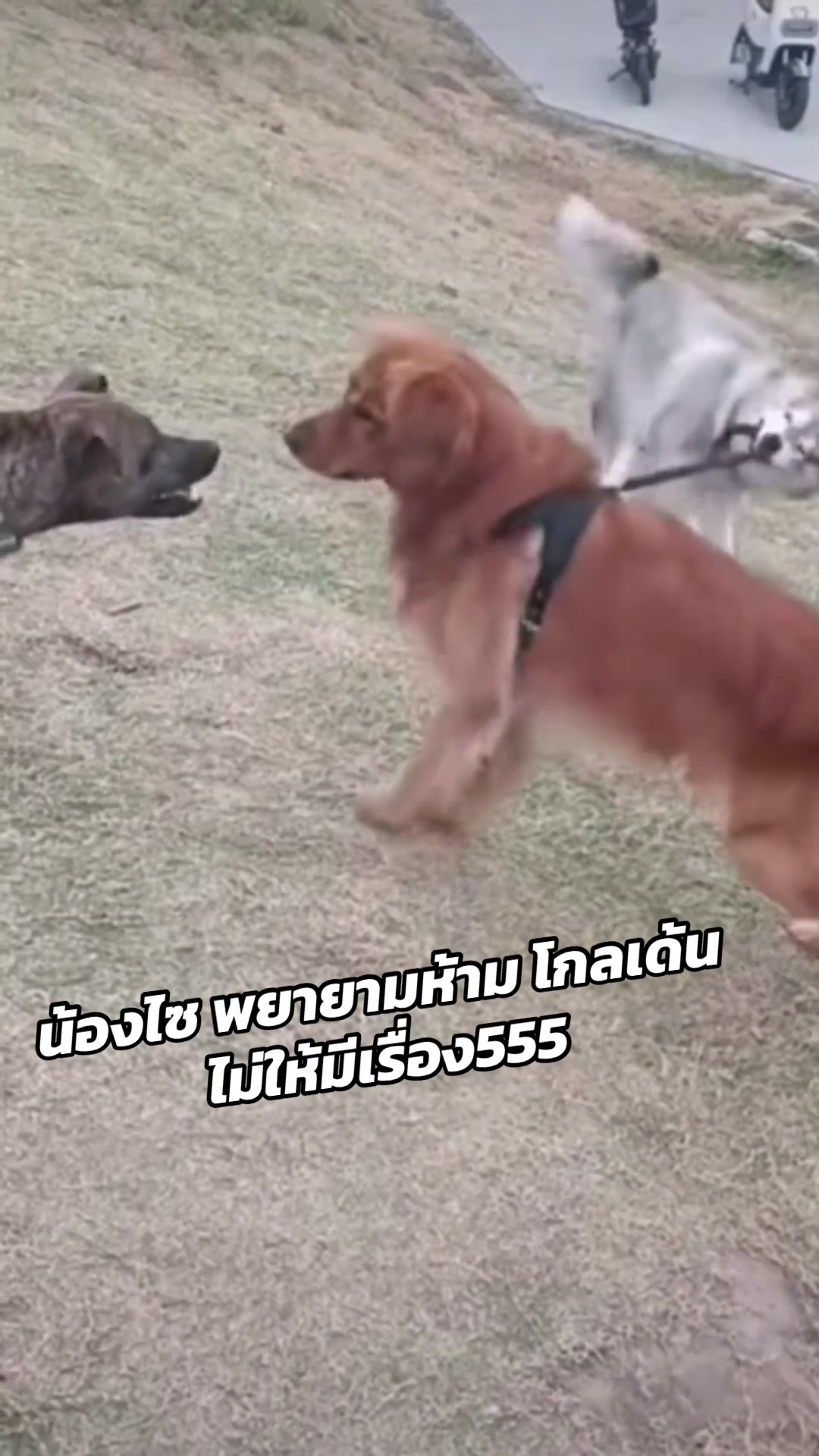 @Doopairoei1