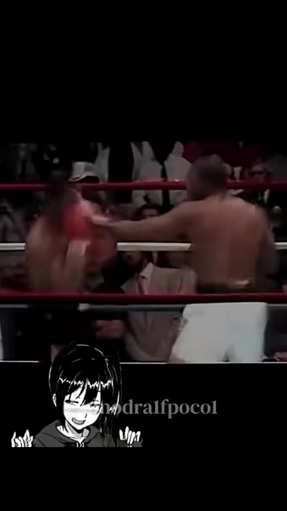 @le&oacute;ncito 🦁