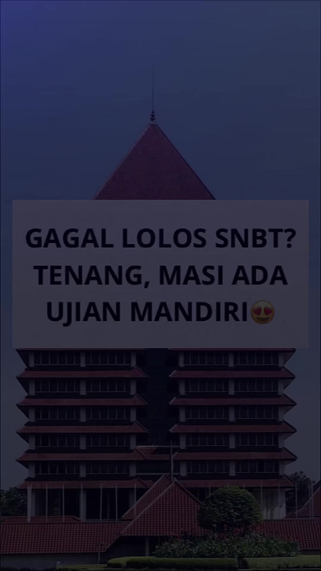 @ambis.ptn