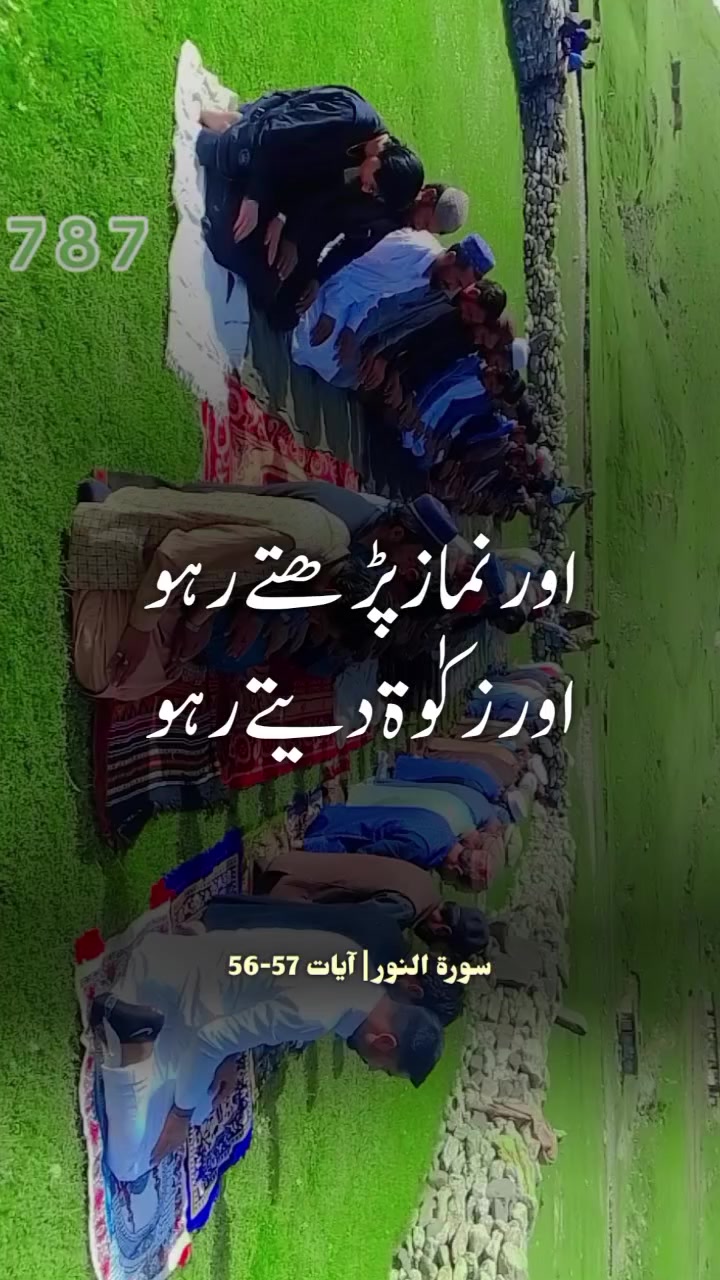 @🕊️Manawar shah🕊️