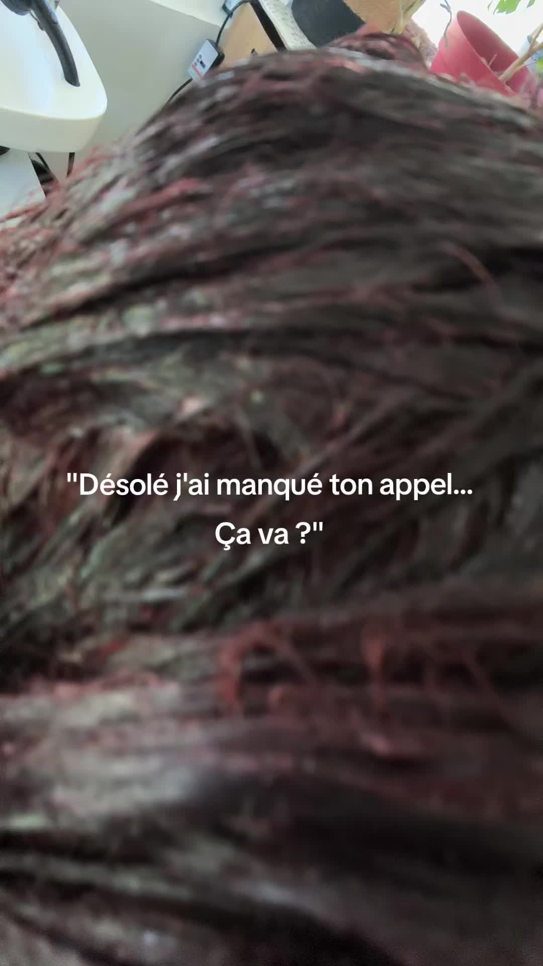 @Julie Zelda 🇫🇷