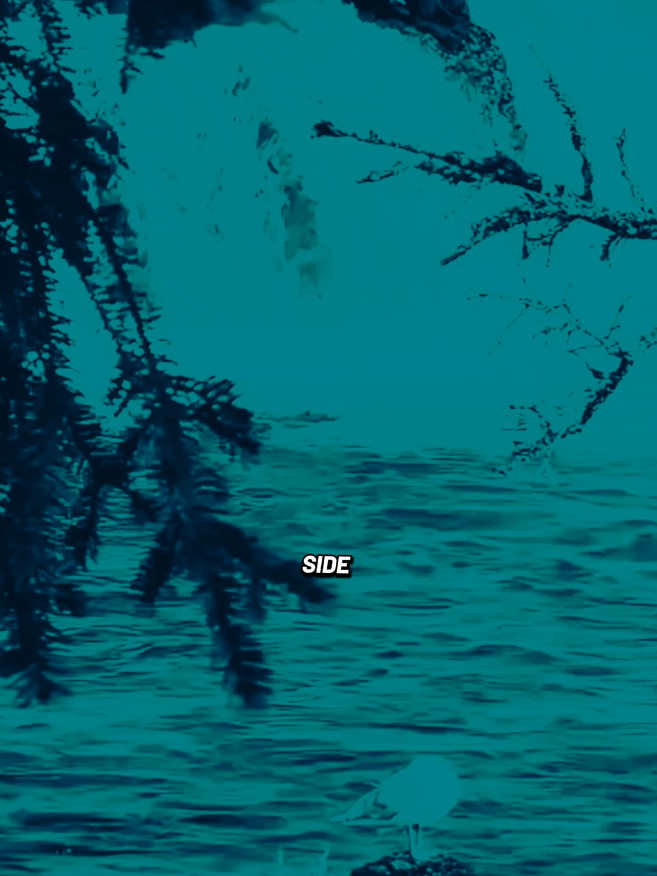 @lyrics songs us
