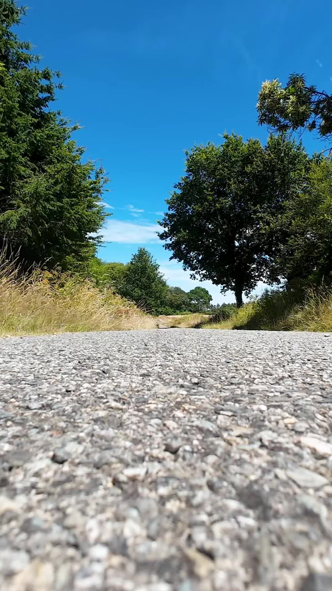 @Pixcar_bzh