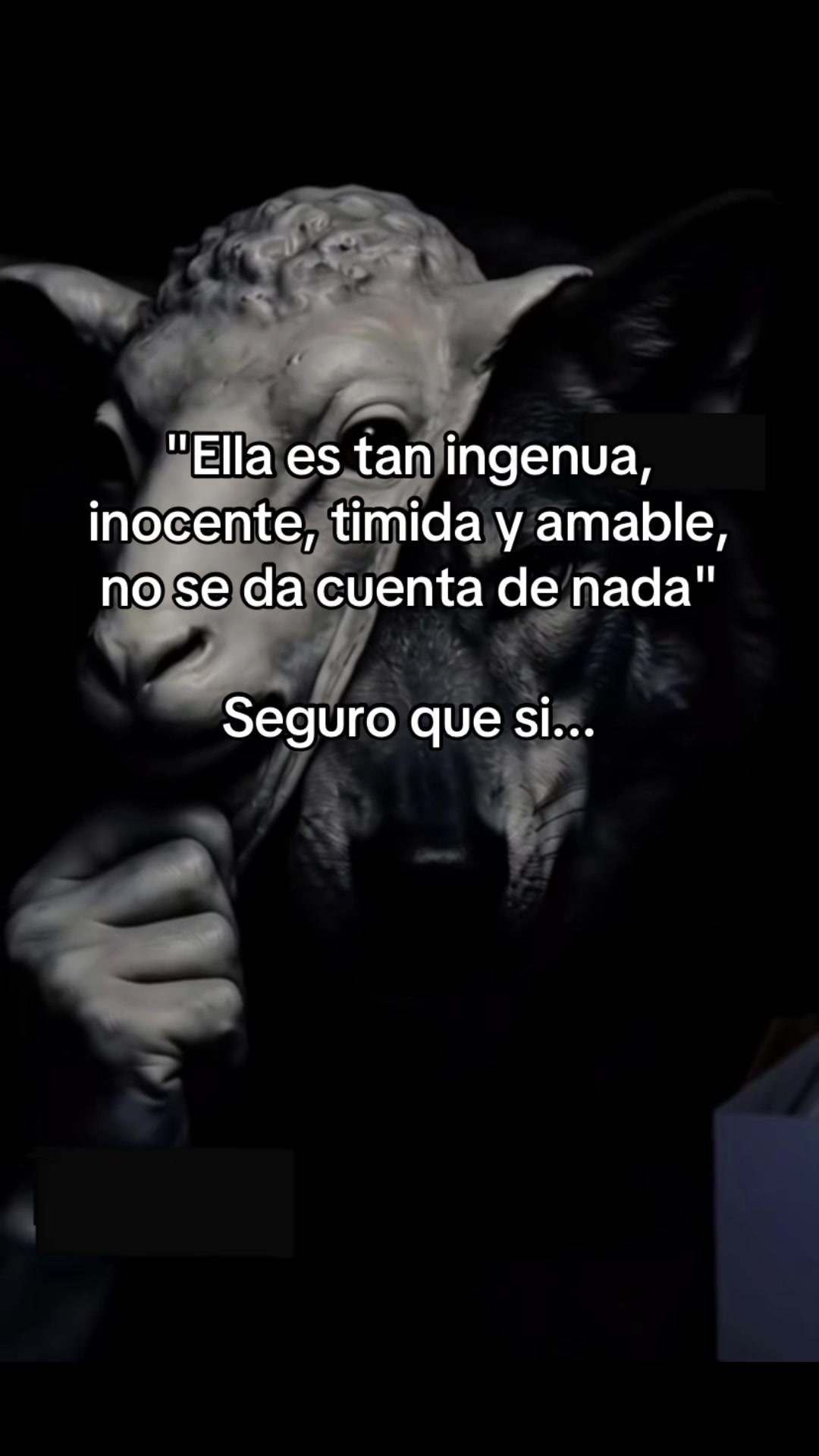 @VibraCotidiana