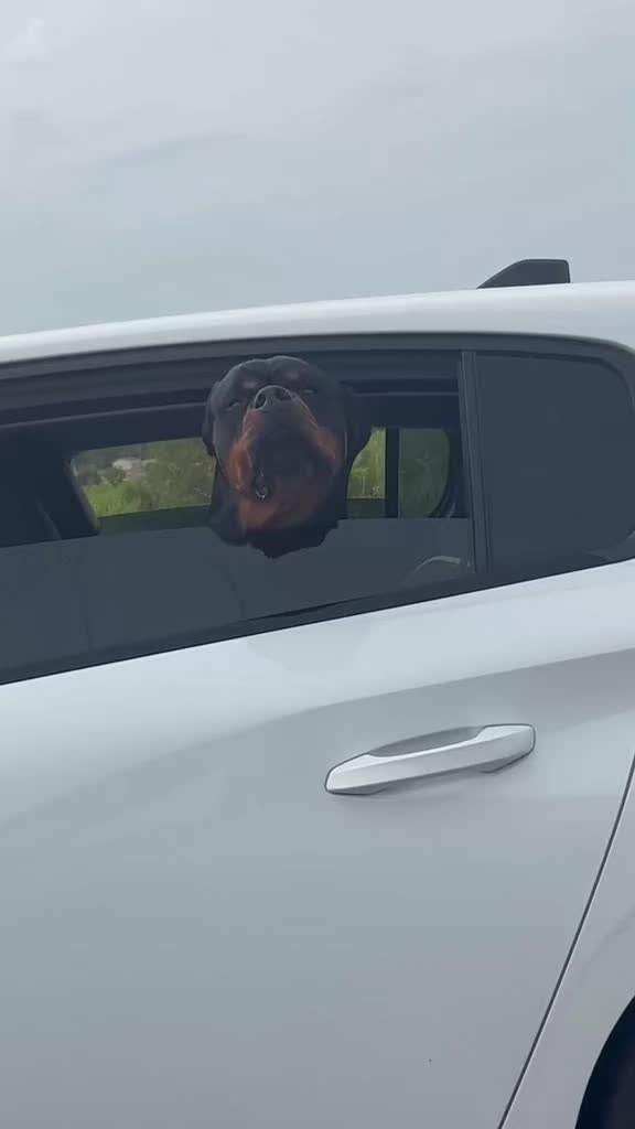 @NALA