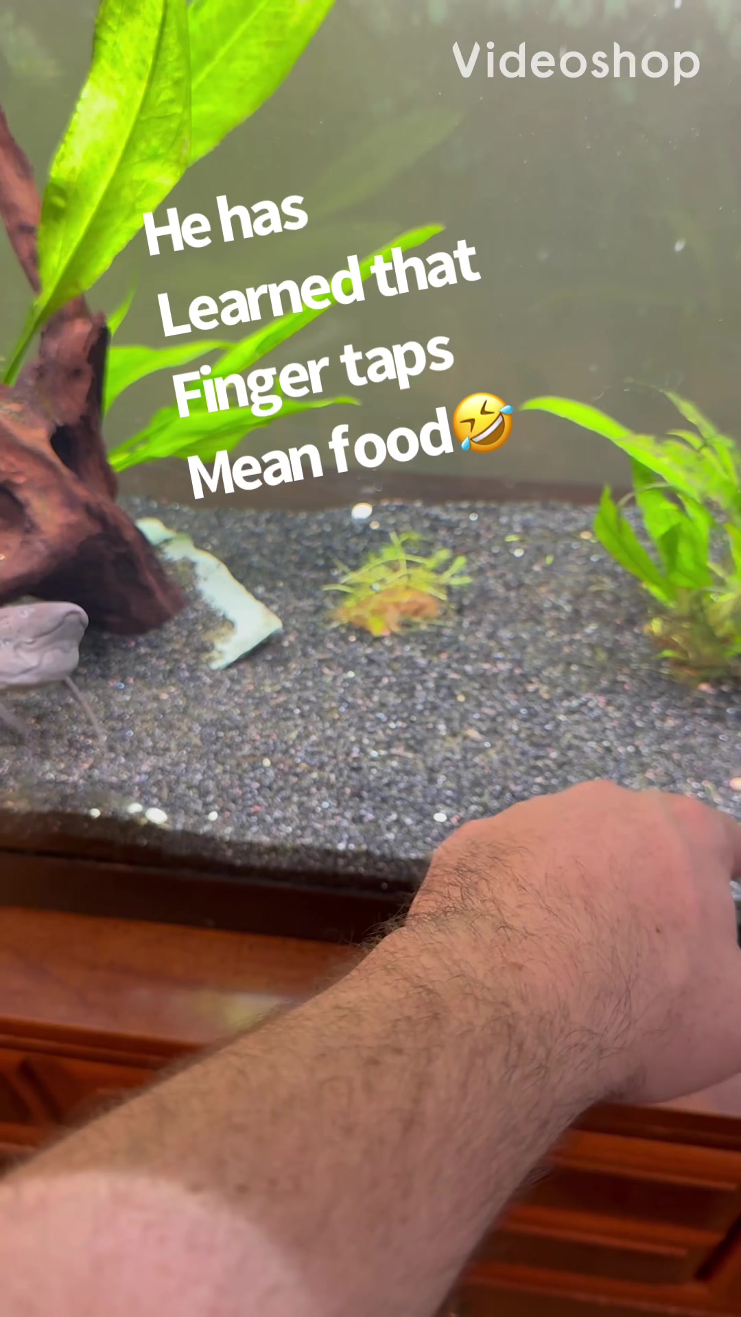 @fishdaddy2002