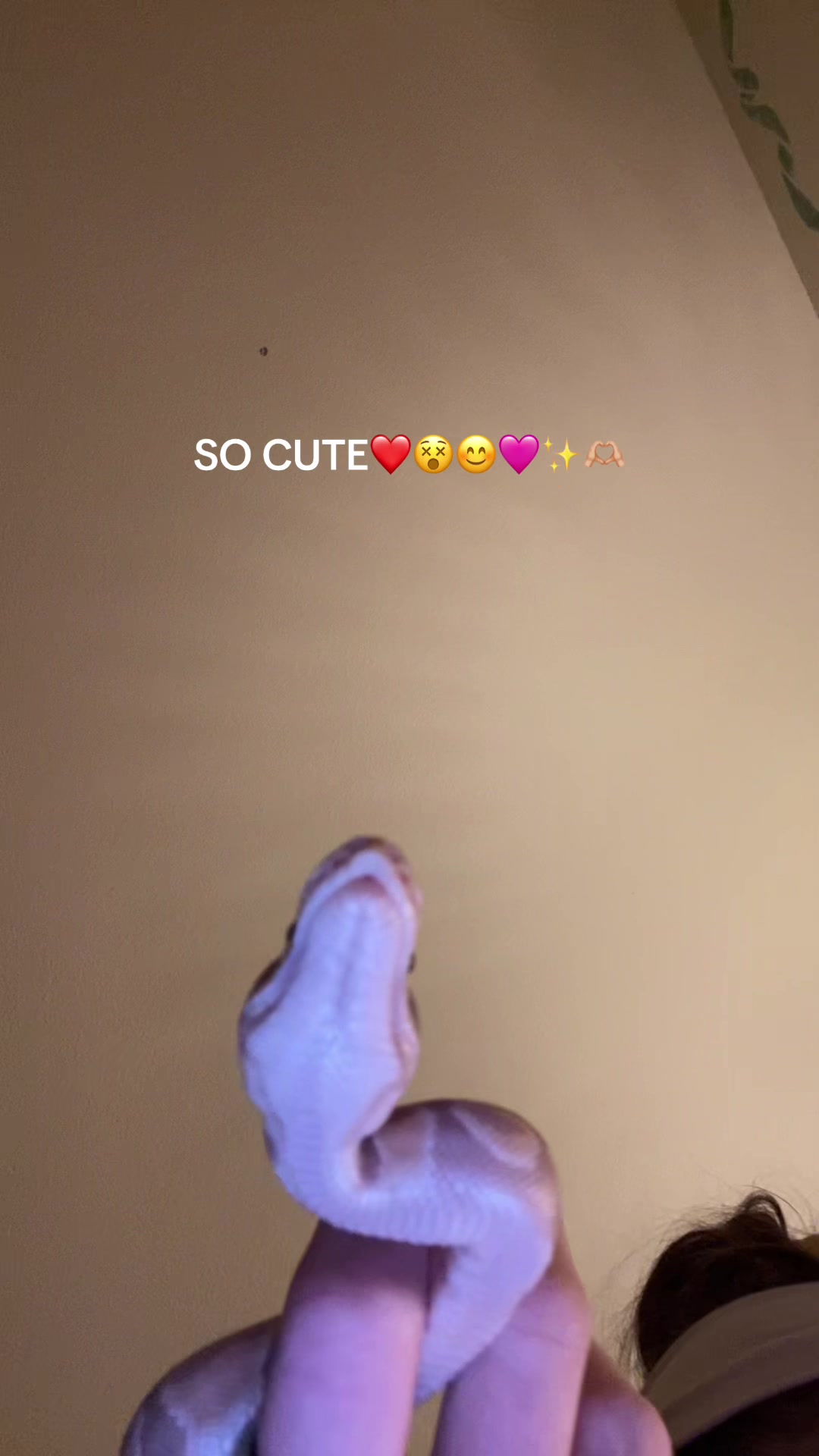 @Holly Jean