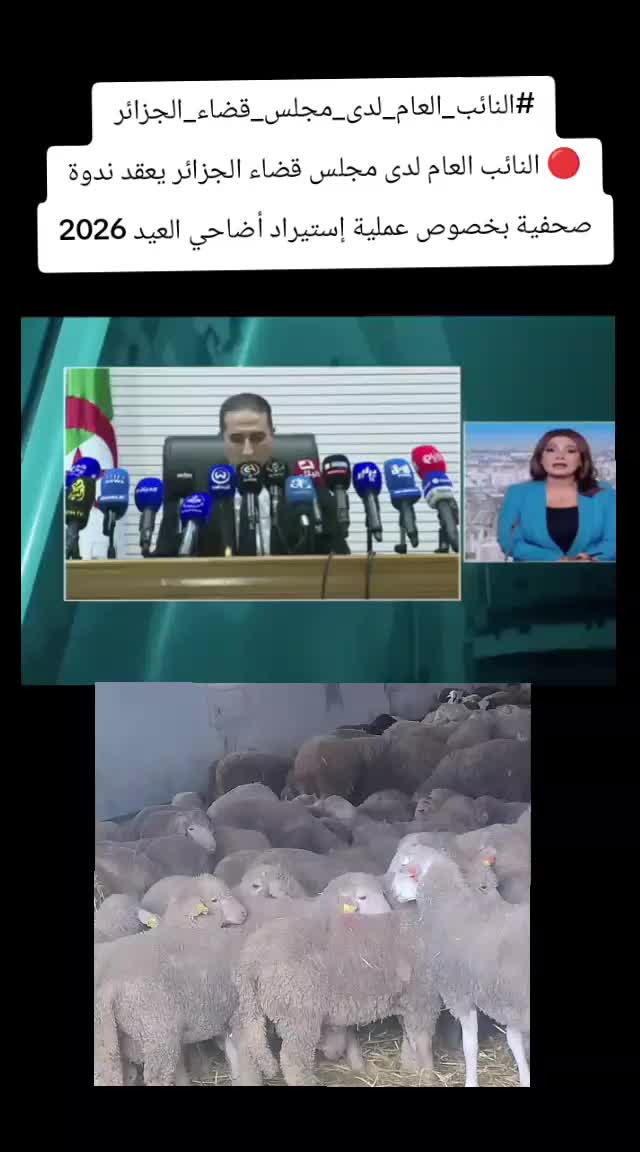 @Trend Algeria Today Hub