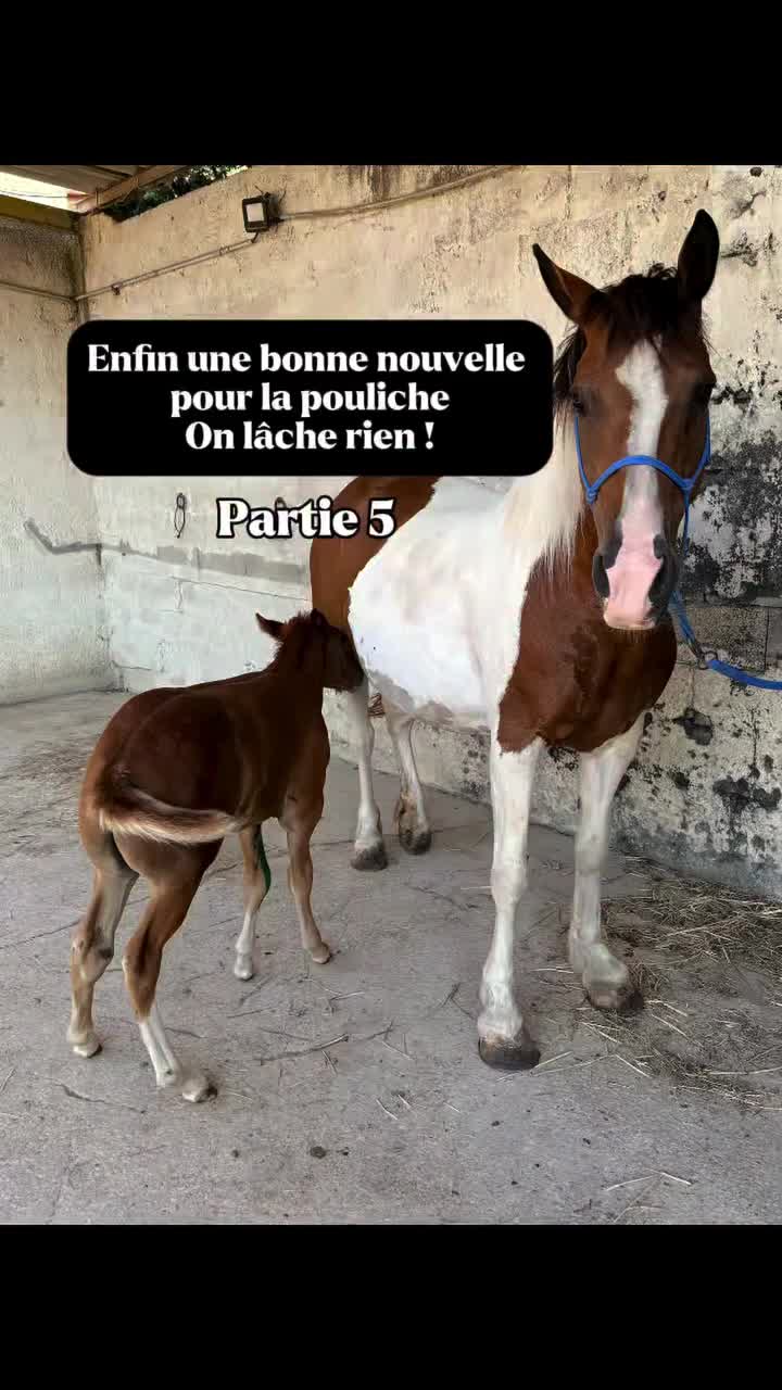 @LA PANTA Horse Ethic Ranch
