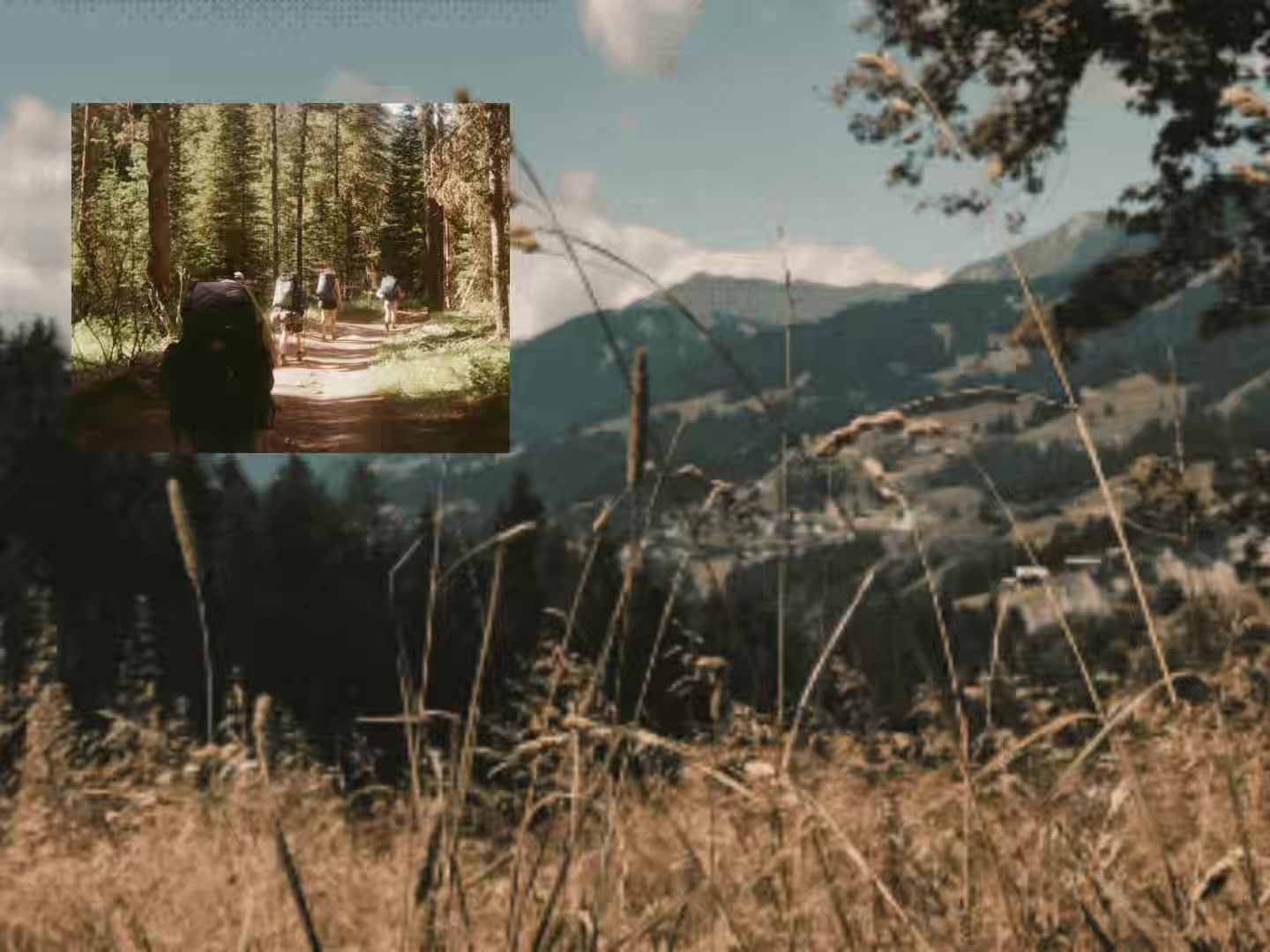 @𝖠𝗌𝗁