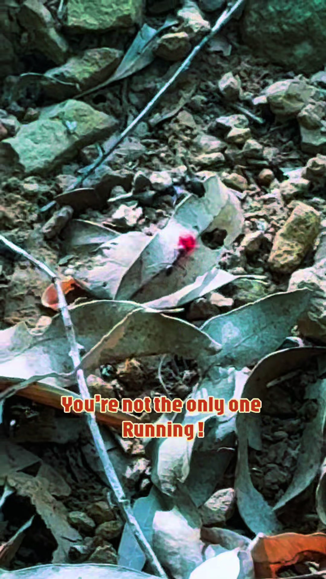 @Aditi