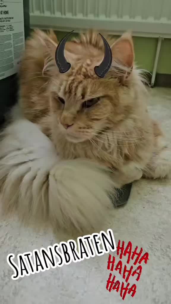 @❤️Janet,Teddy und Blümchen❤️