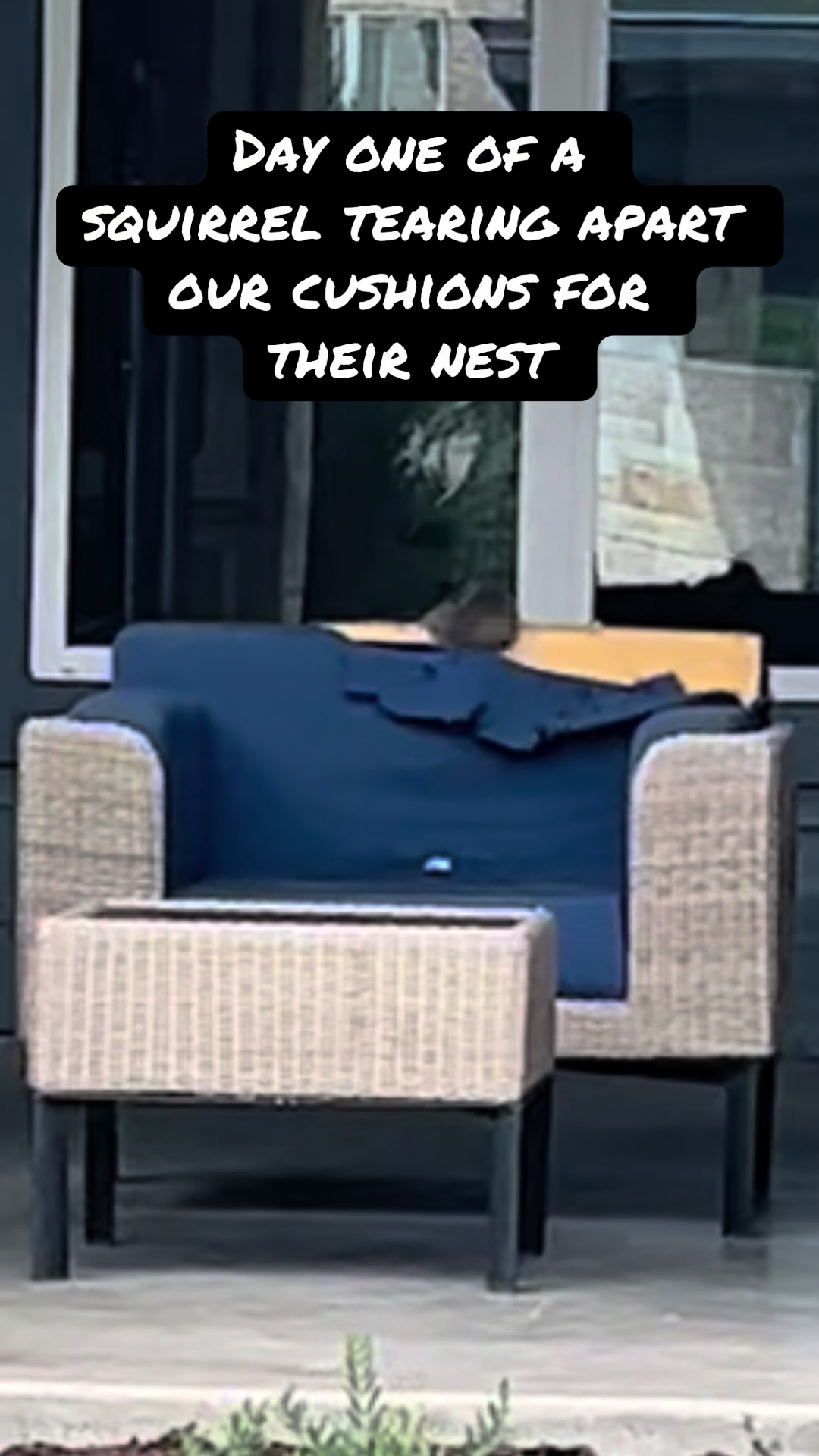 @krissymercer