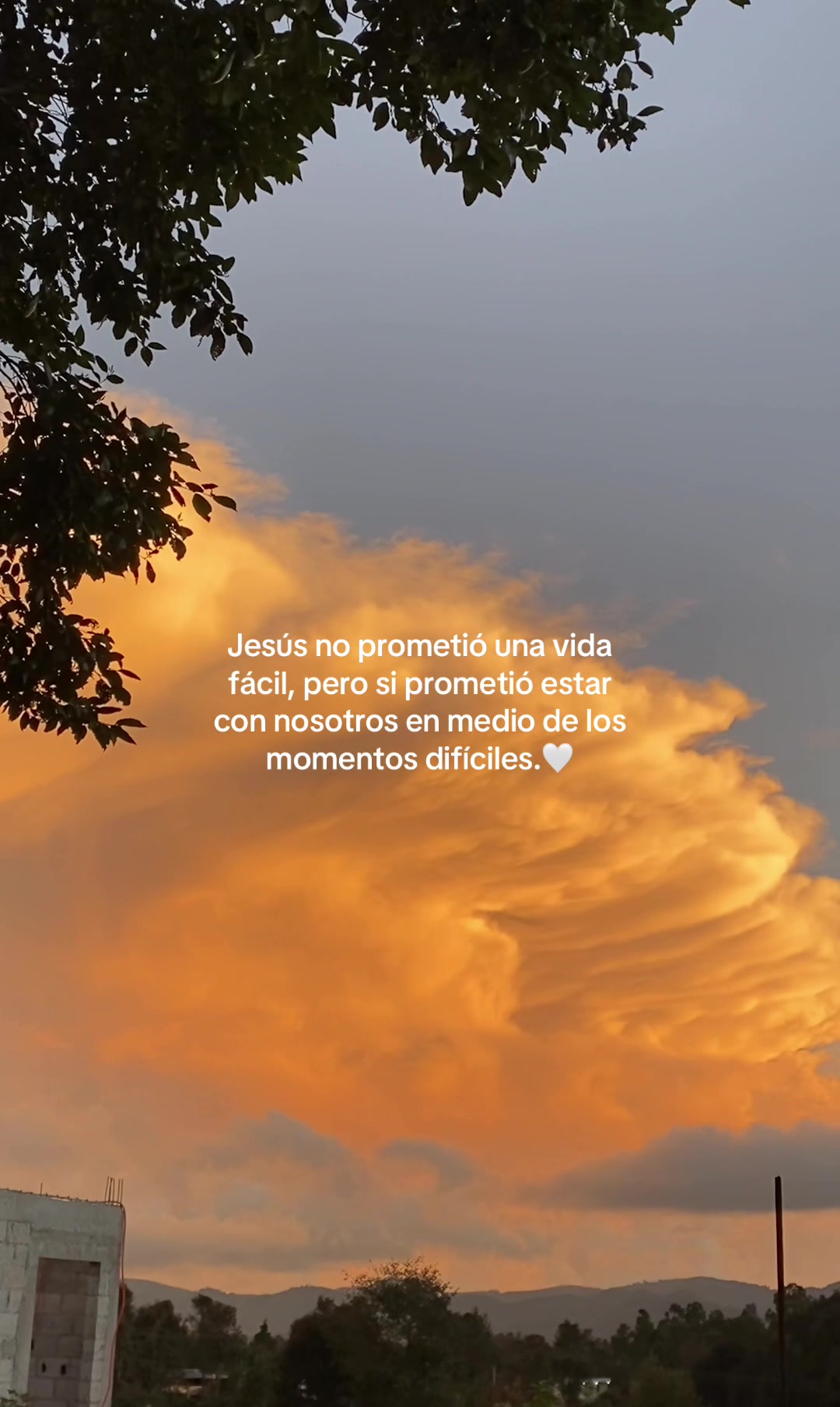 @Debora_💗🌸