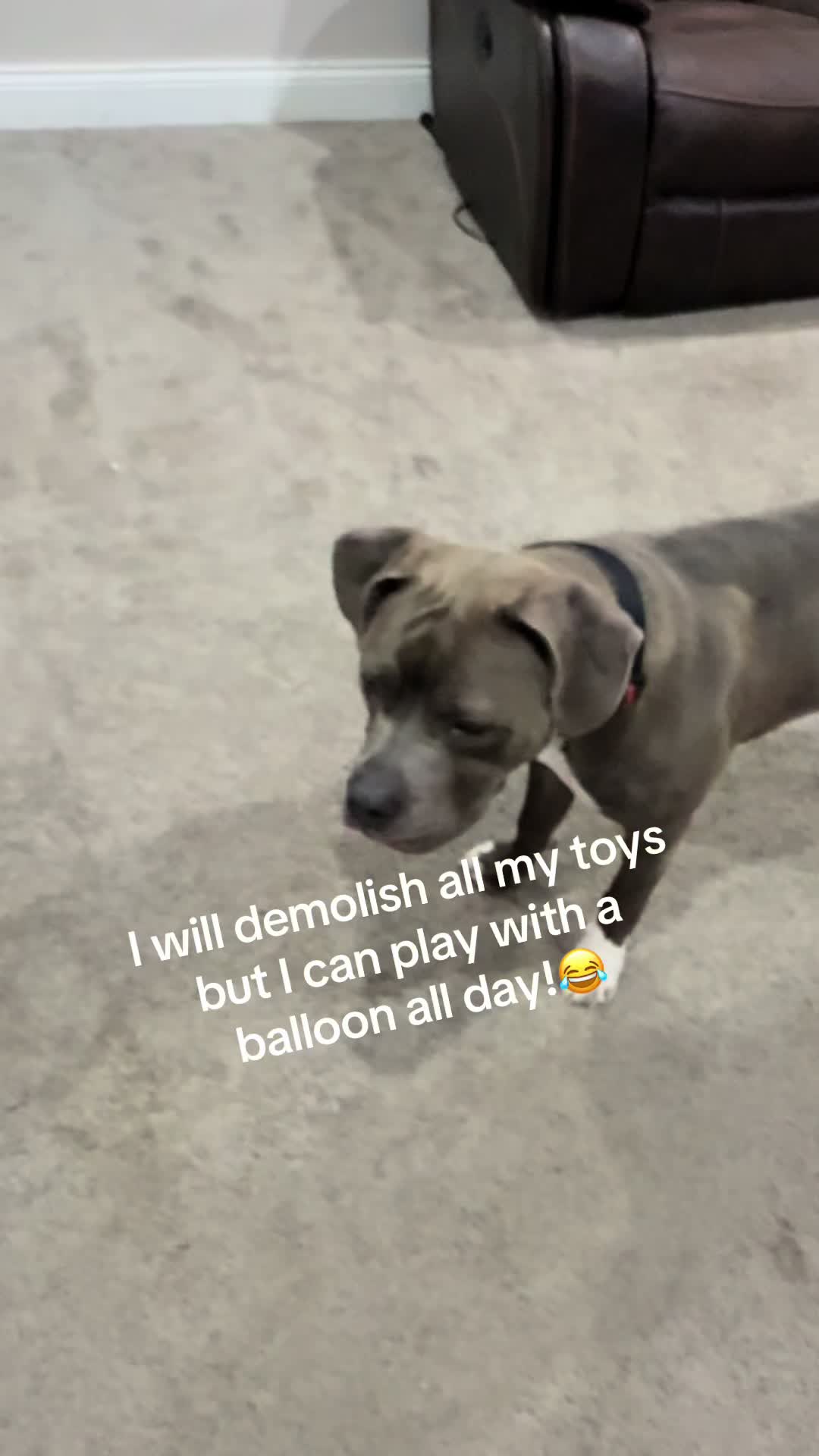 @LyricsBOWbowtique