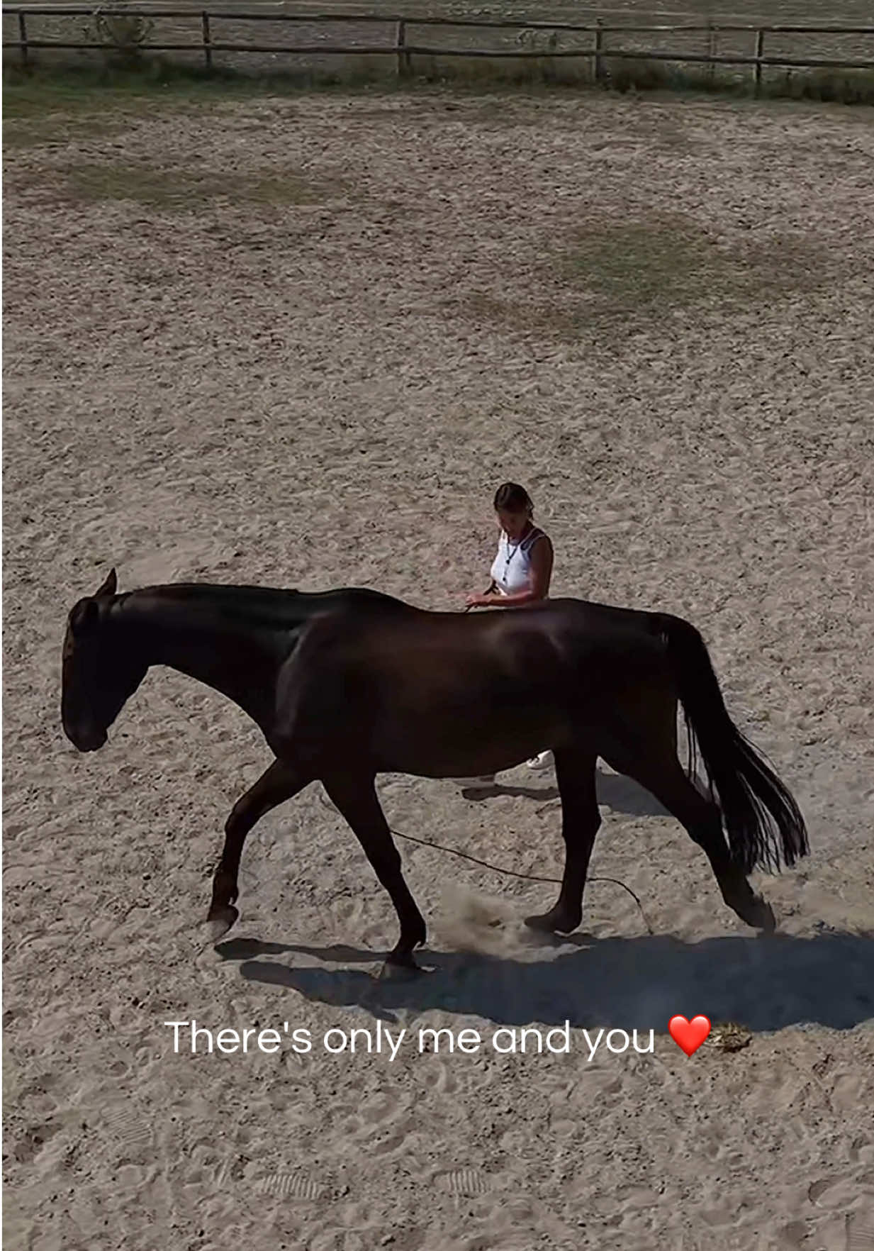 @lilia.troni