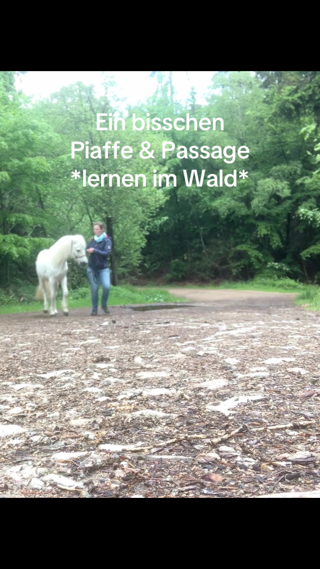 @Good Way Horses