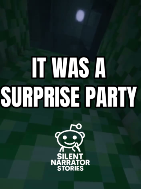 @Silent Narrator Stories