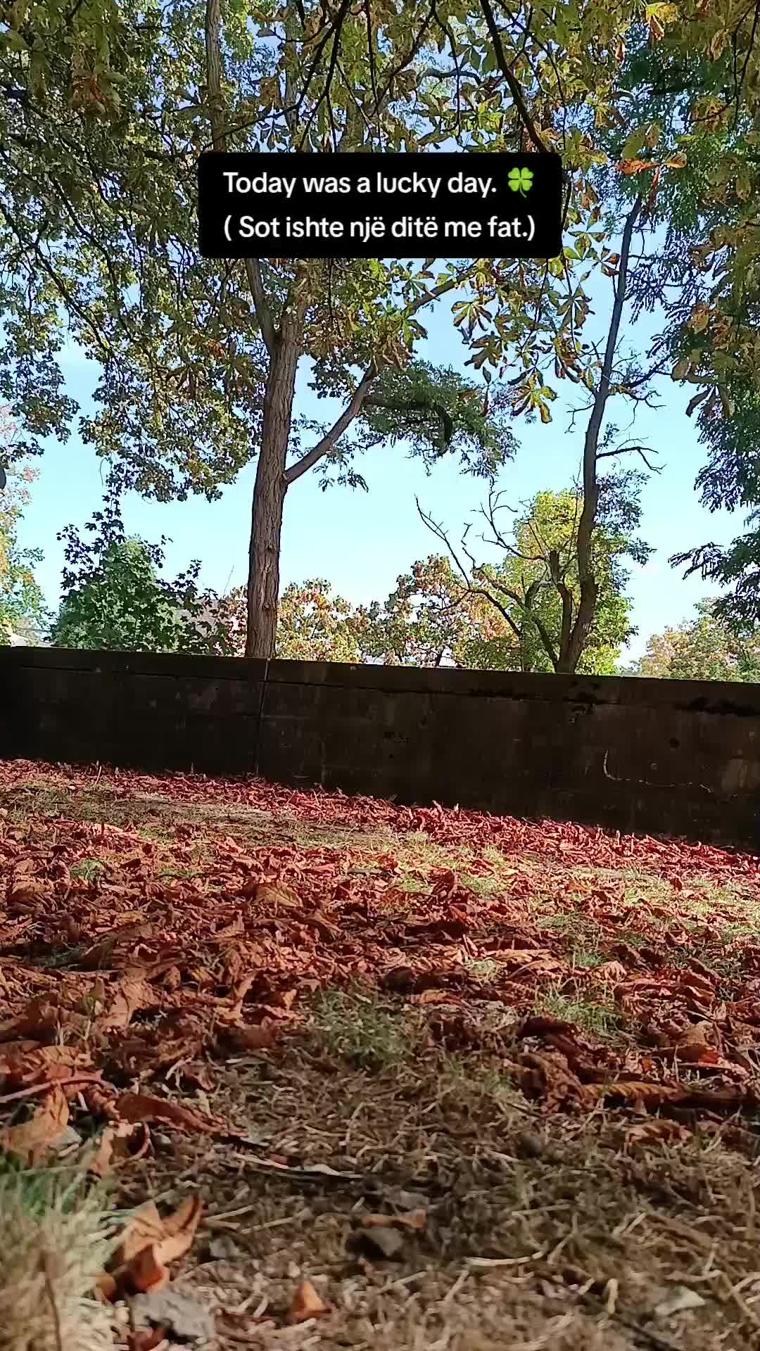 @Kapurrali