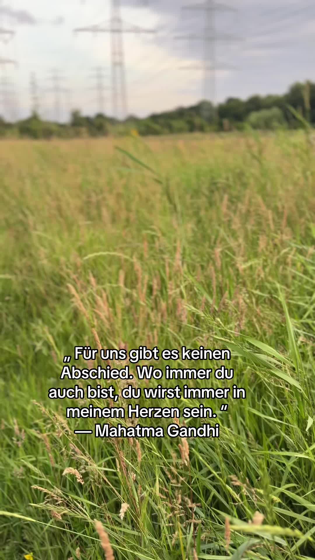 @XXLBALU