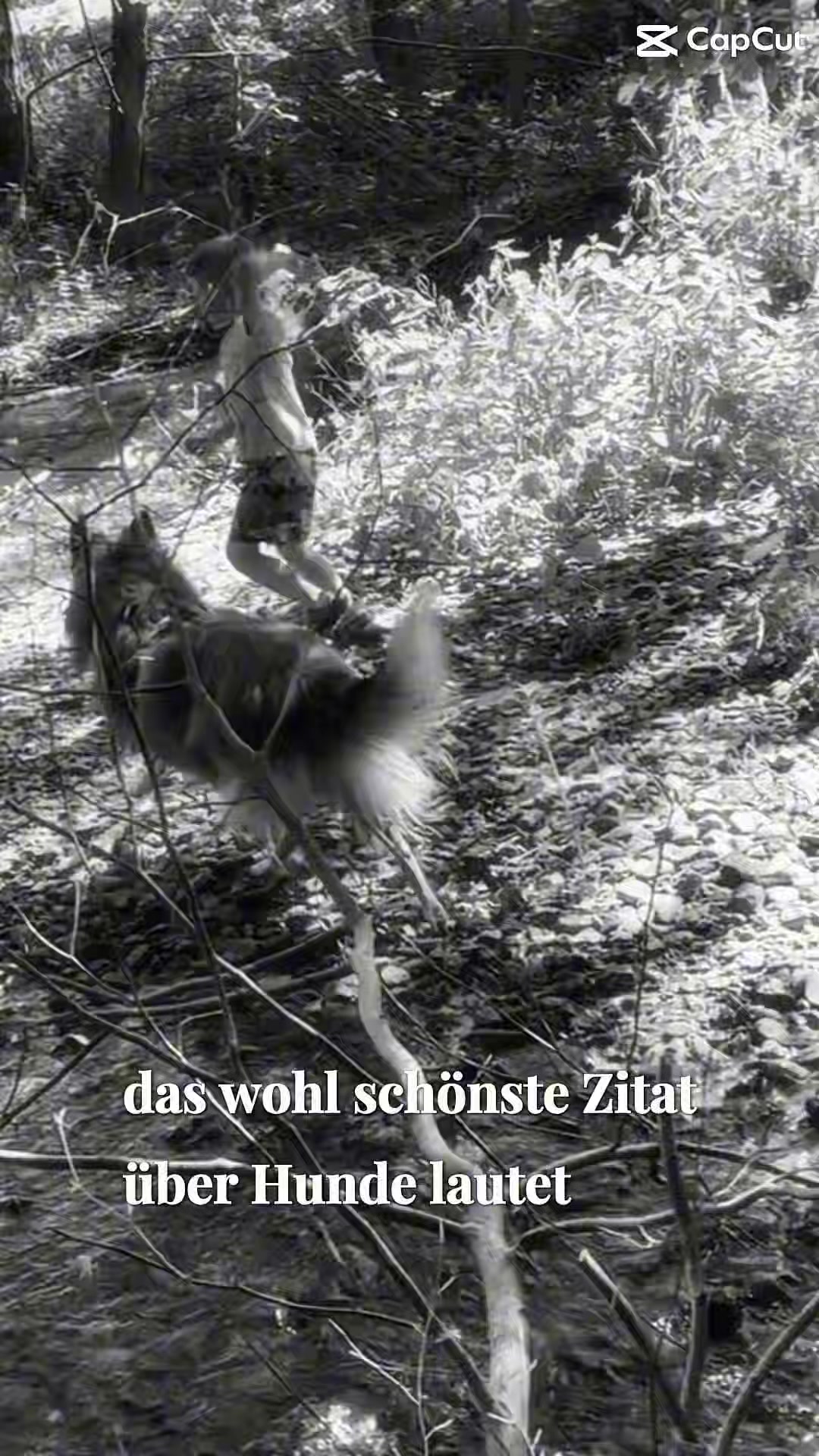 @Jasmin Werner