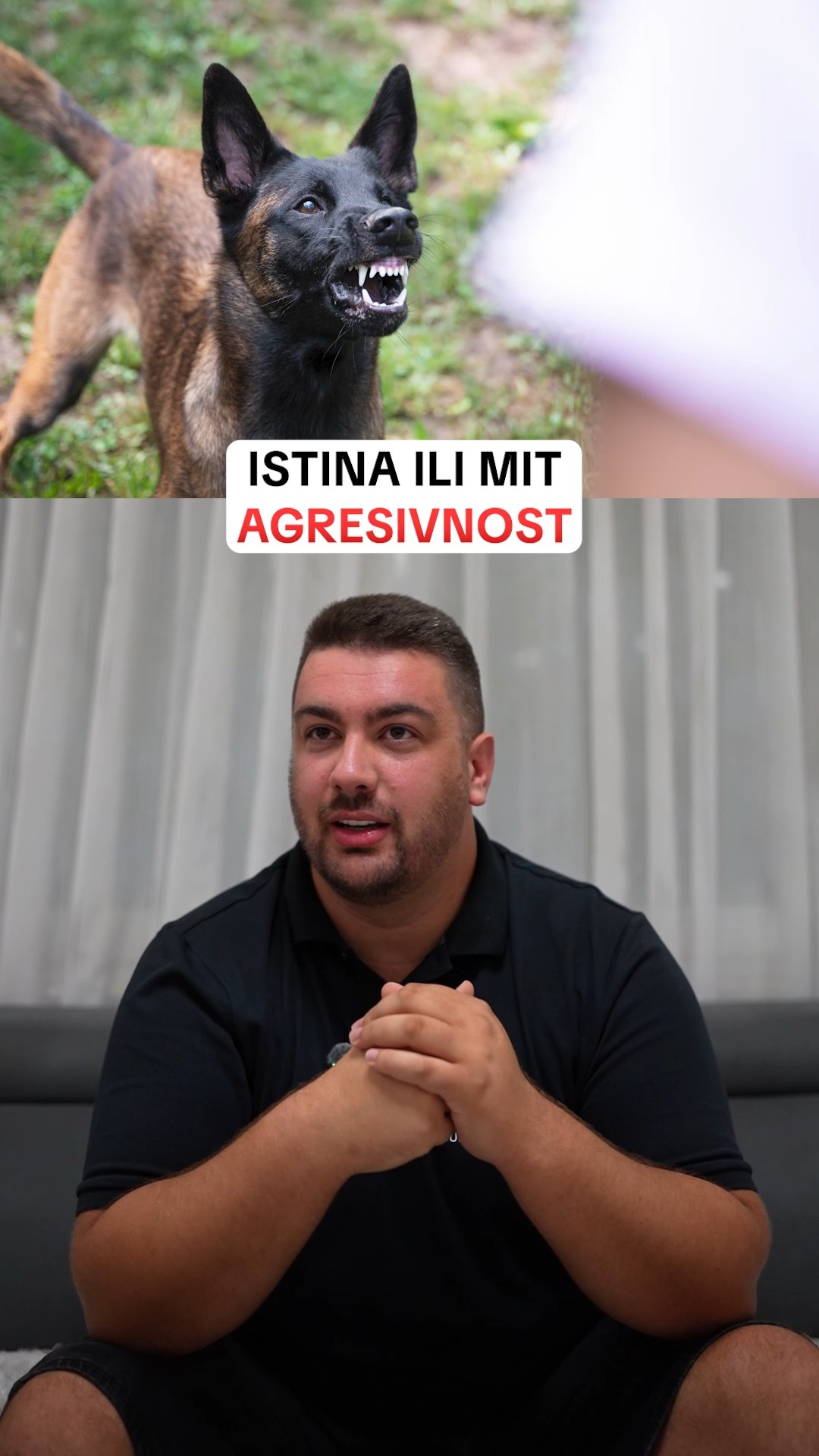 @superdog.akademija