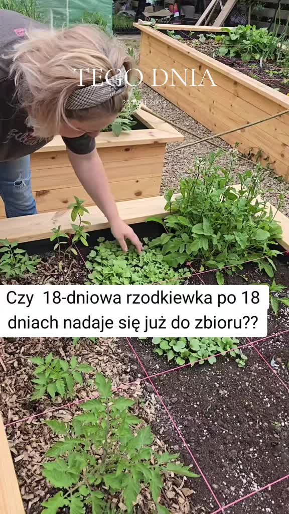 @Sylwia