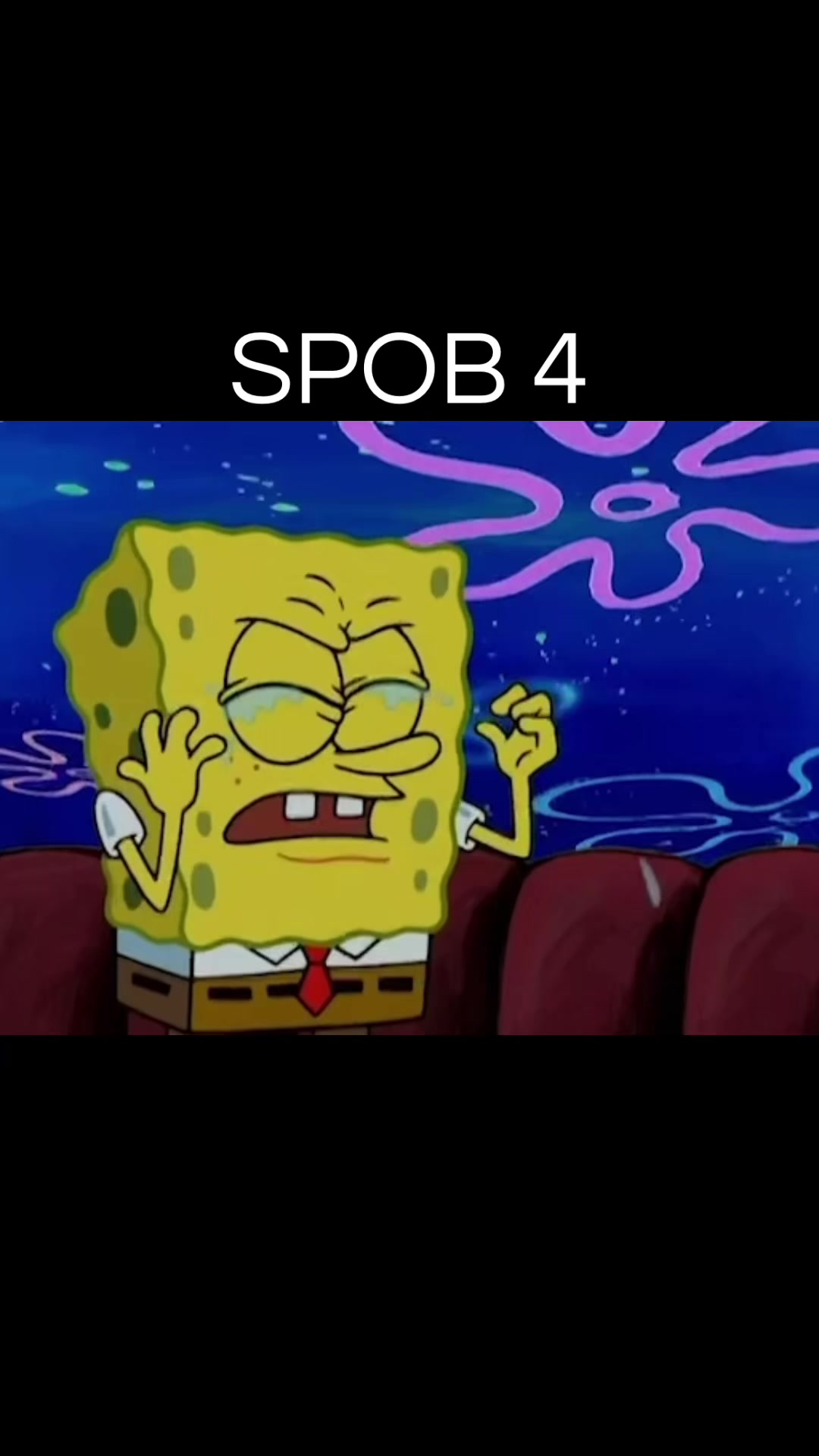 @speedy_wheels365