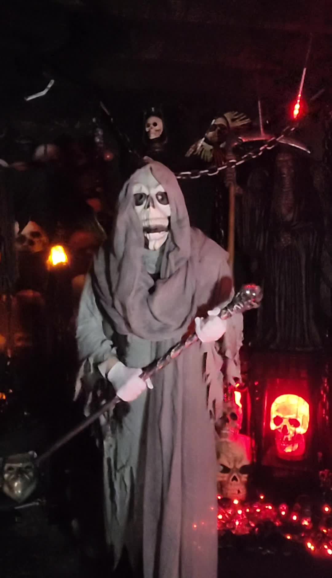 @DarkWonderland