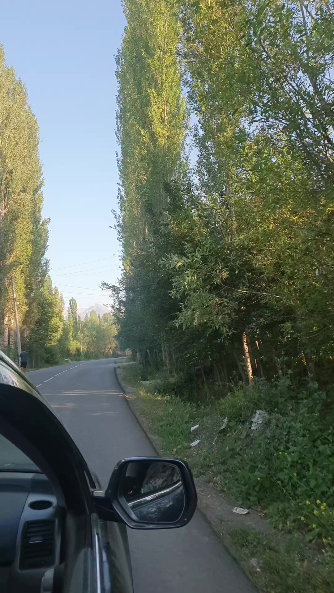 @Krasavitsa_777 Nookat