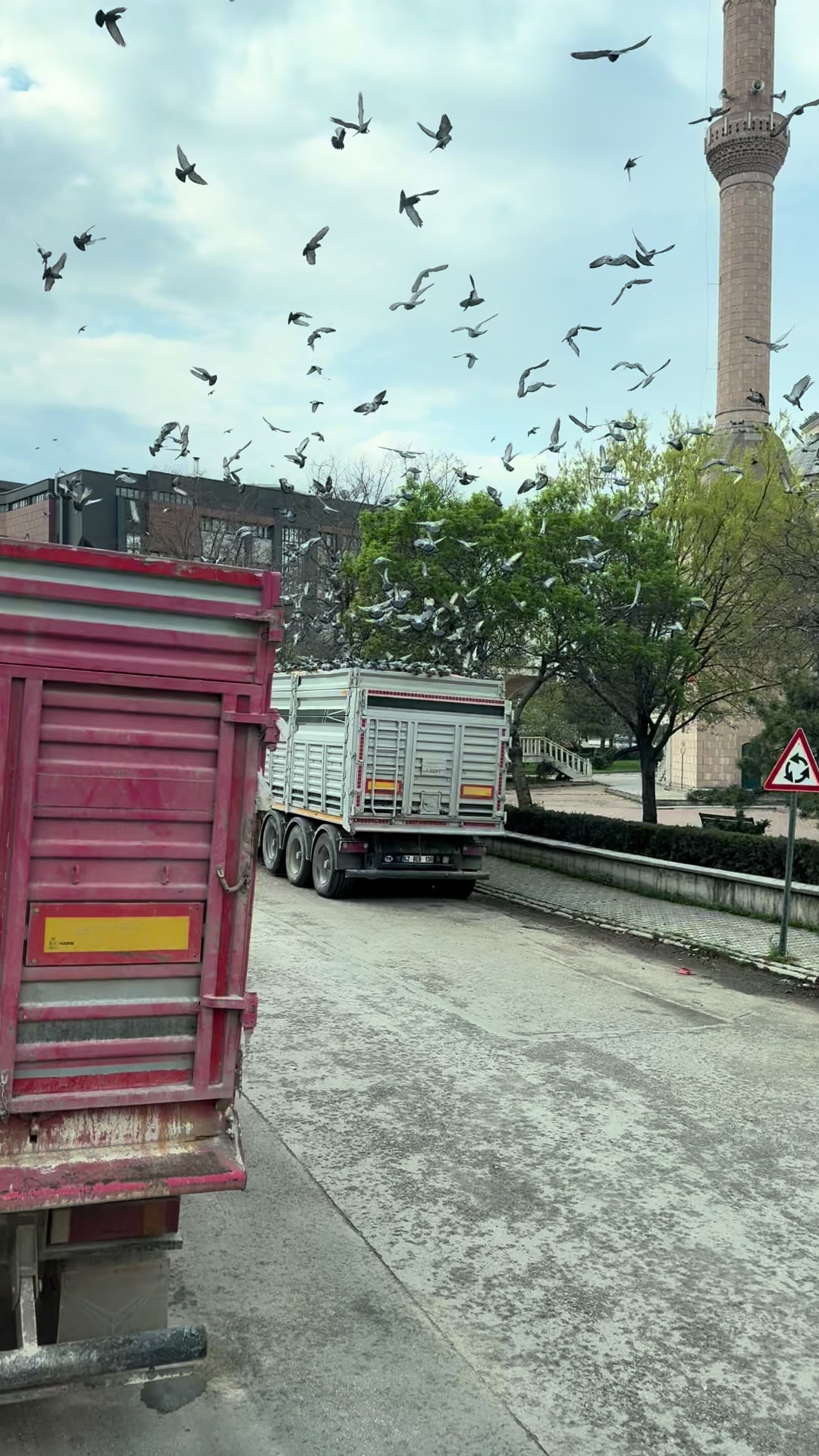 @Rıfat Filikci. (68)
