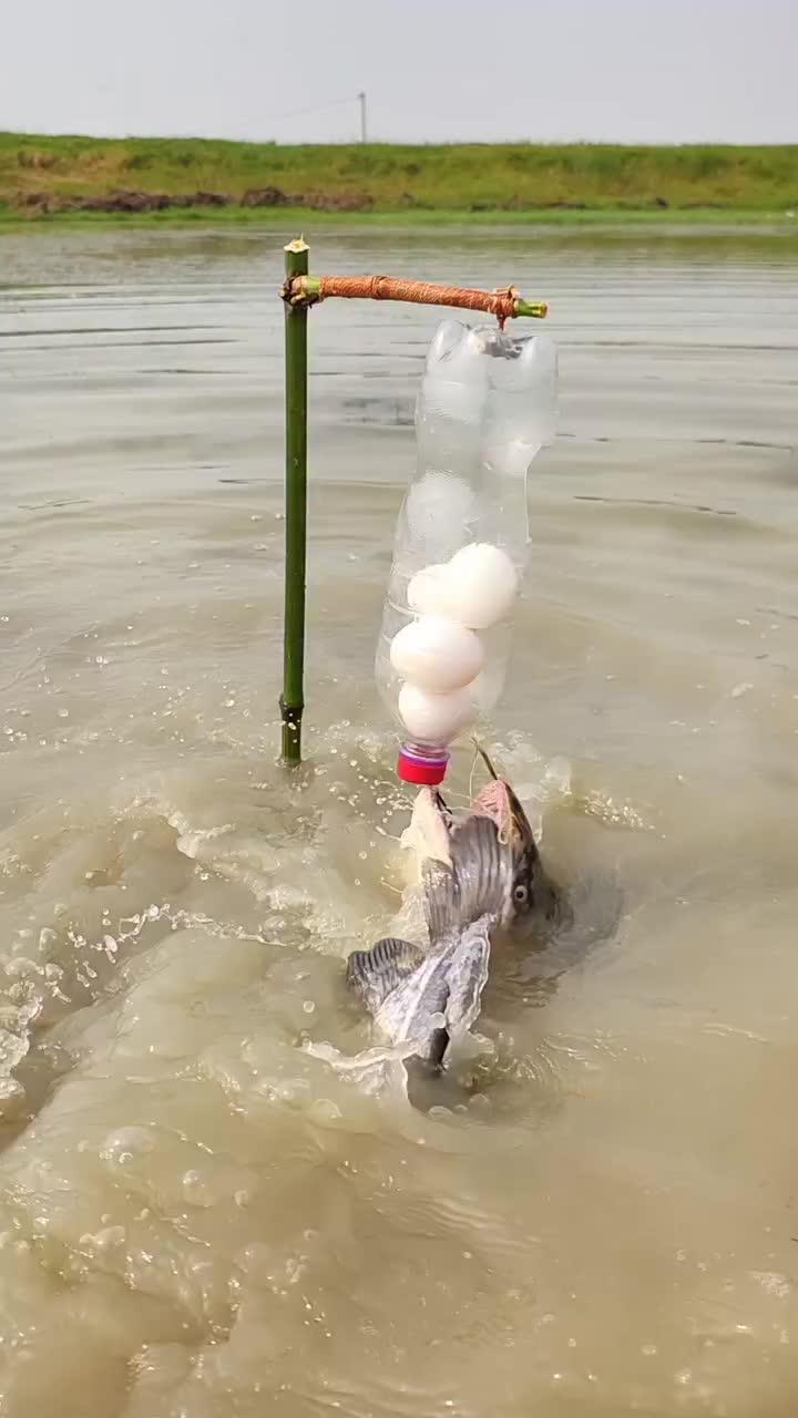 @Fishing