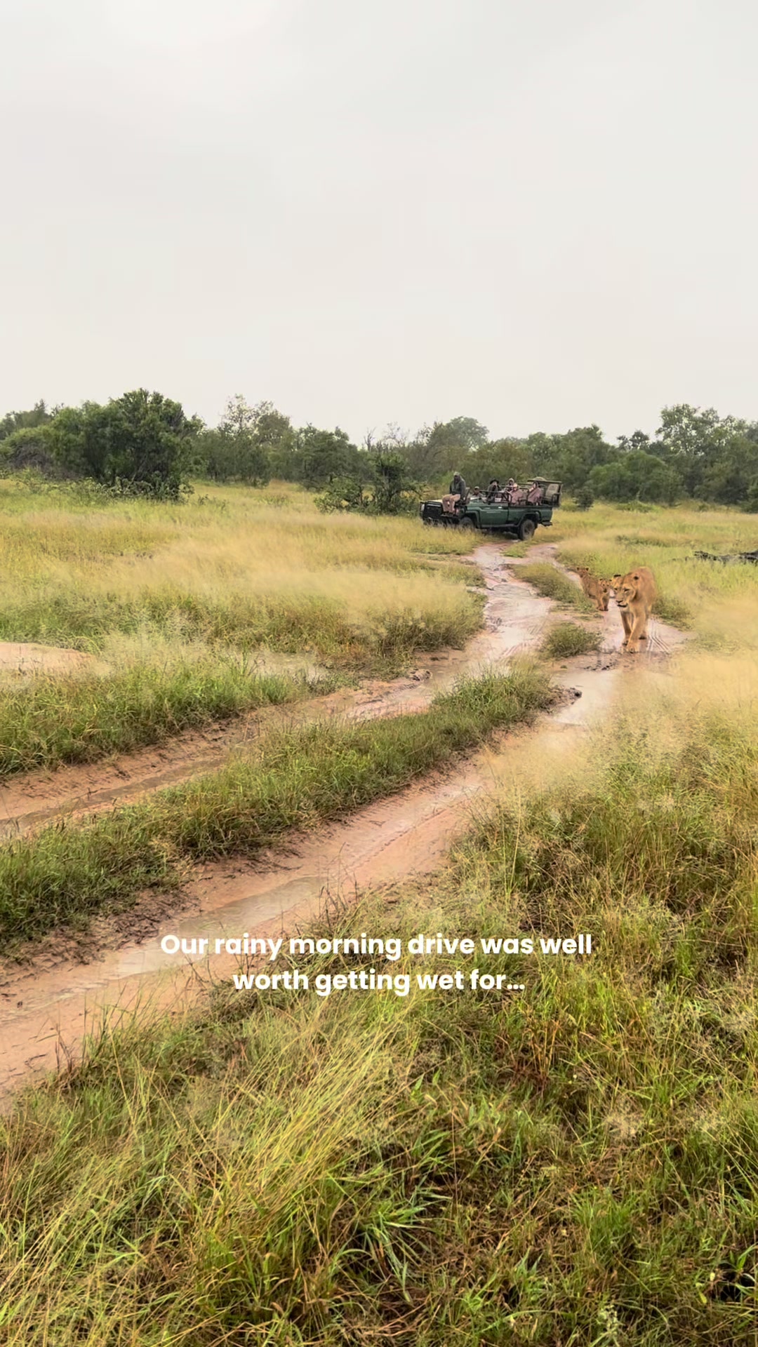 @Thornybush