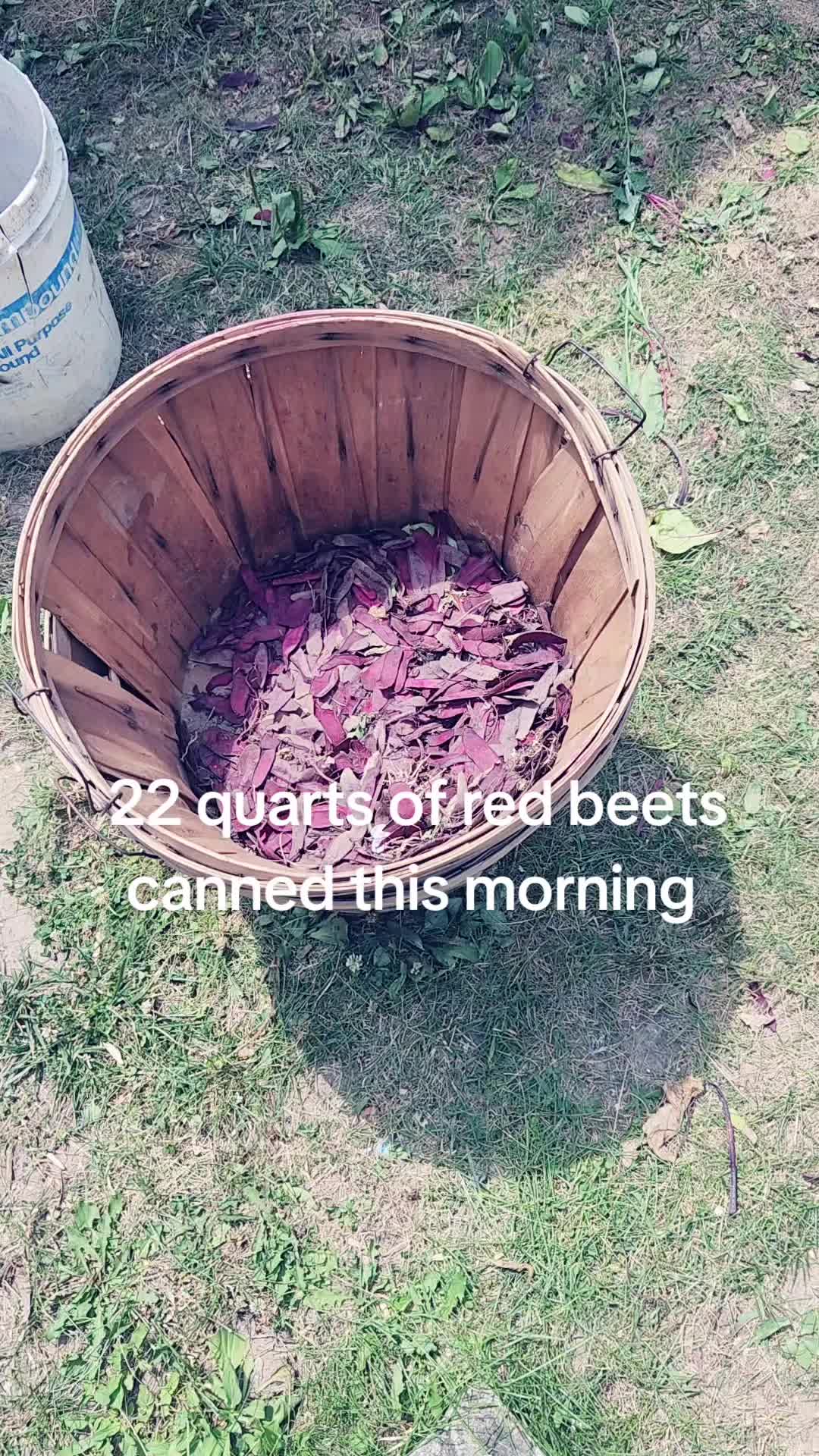 @smith__homestead33