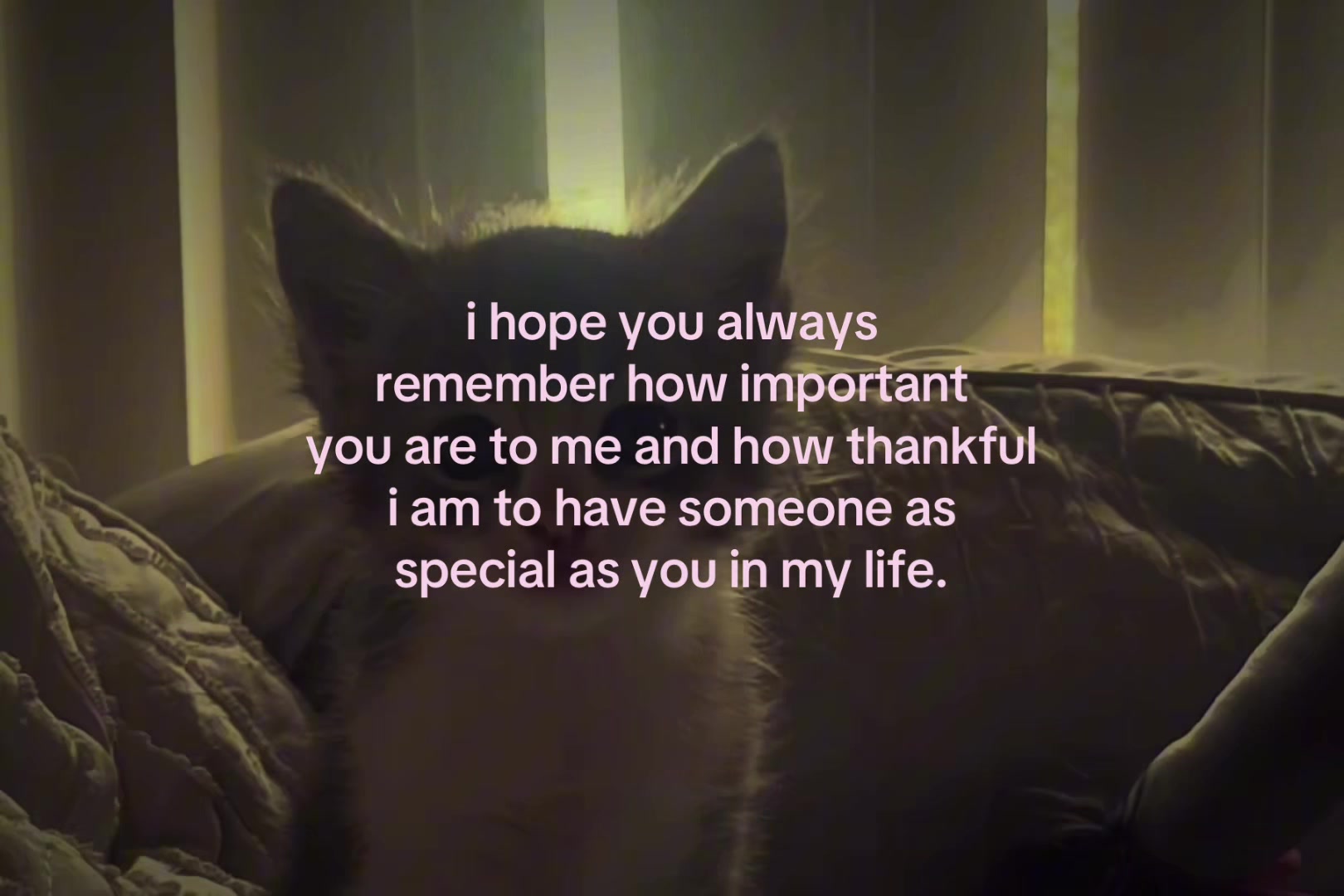 @sxalenz