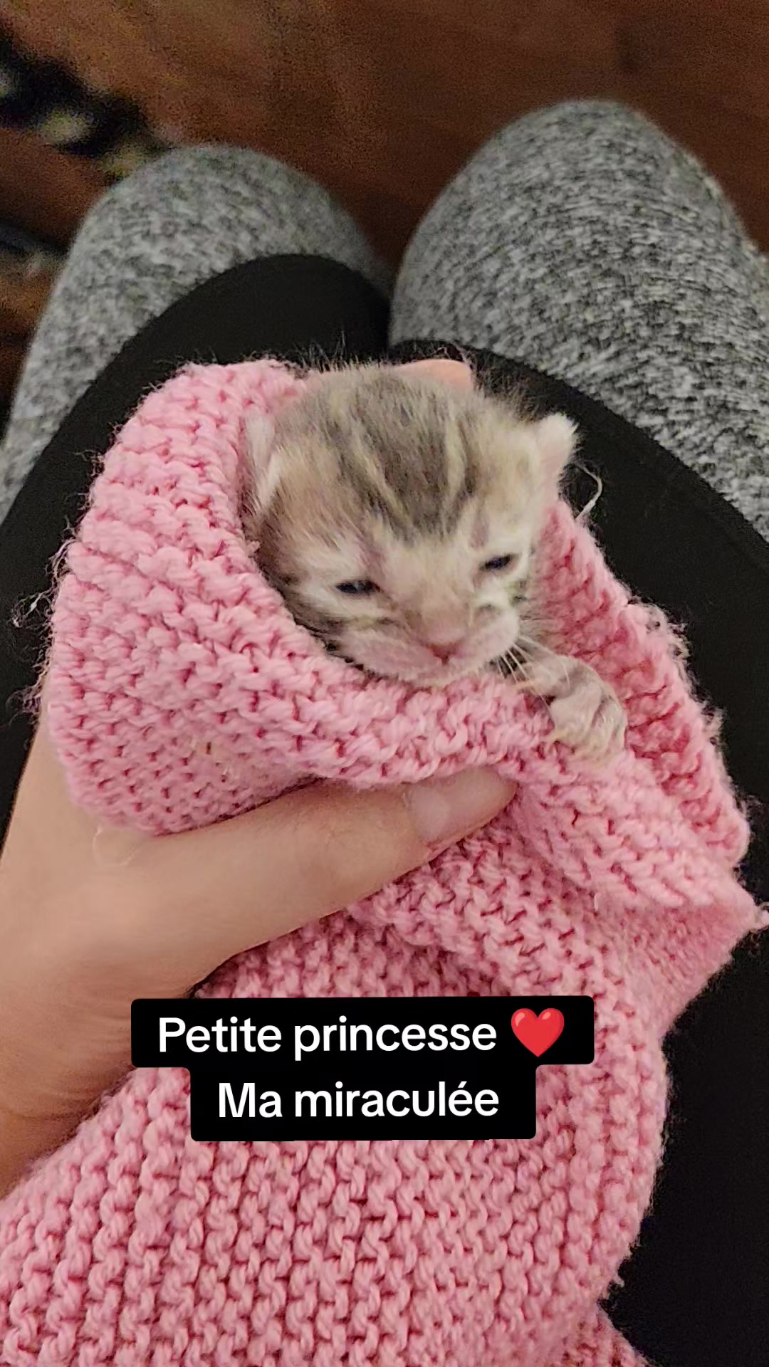 @Galactic Bengal