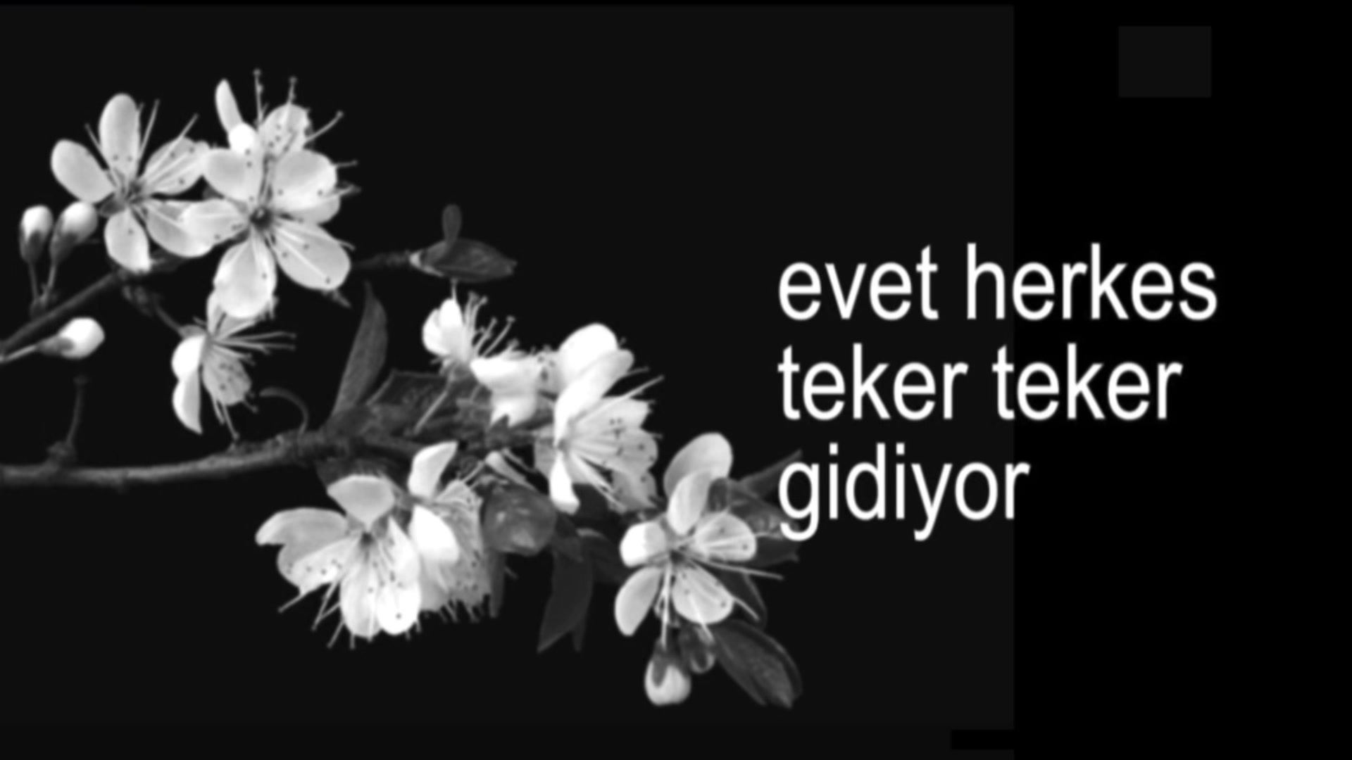 @𝐲𝐰𝐞𝐮