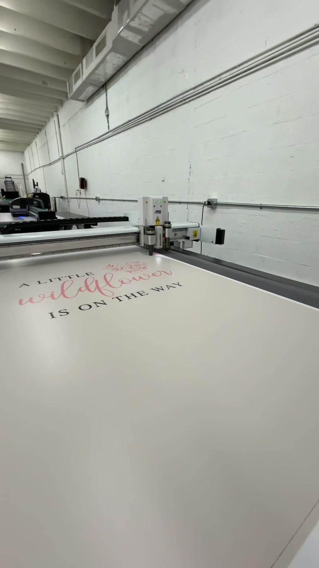 @evolutionsgraphics