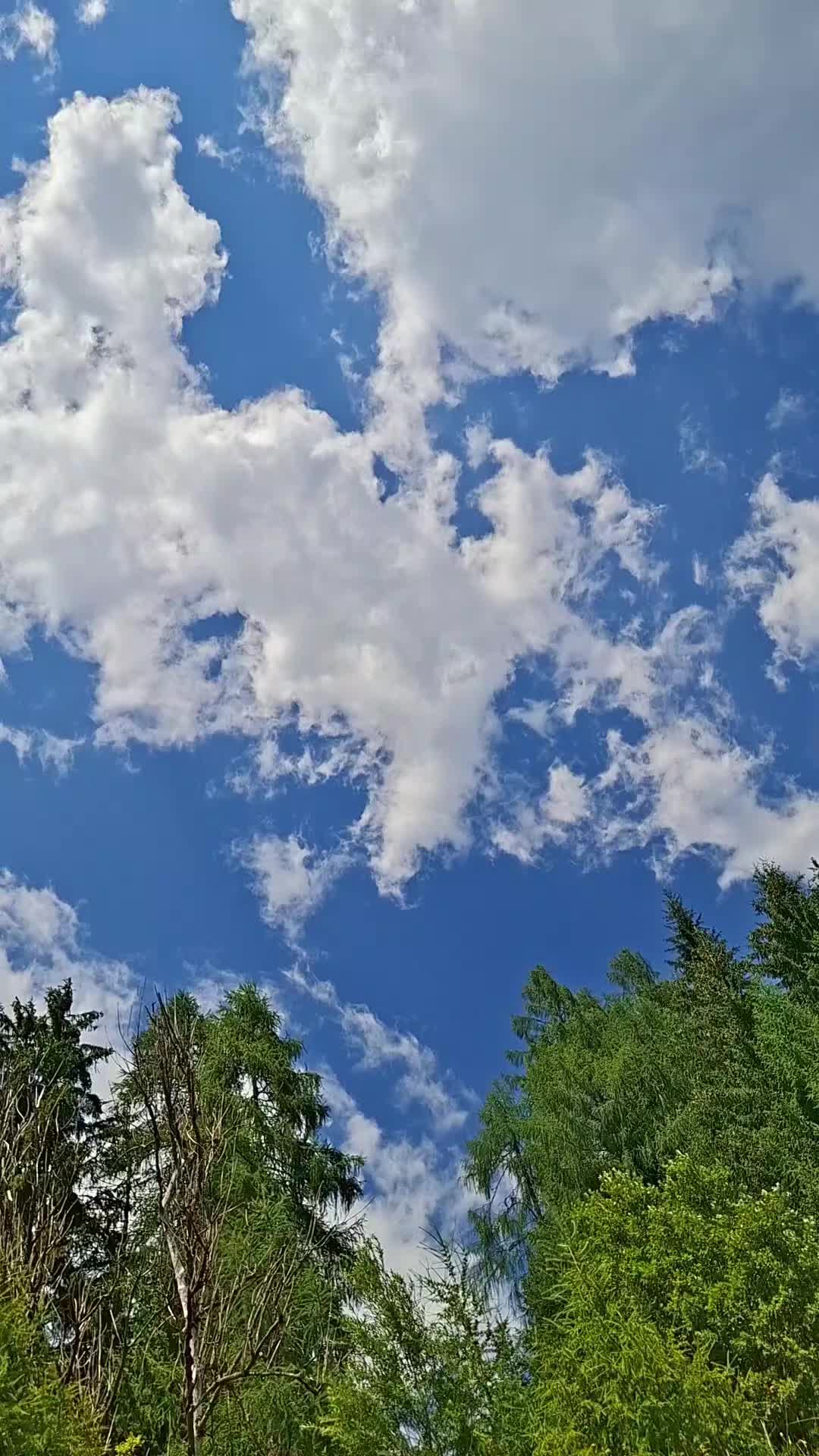 @L.b.И