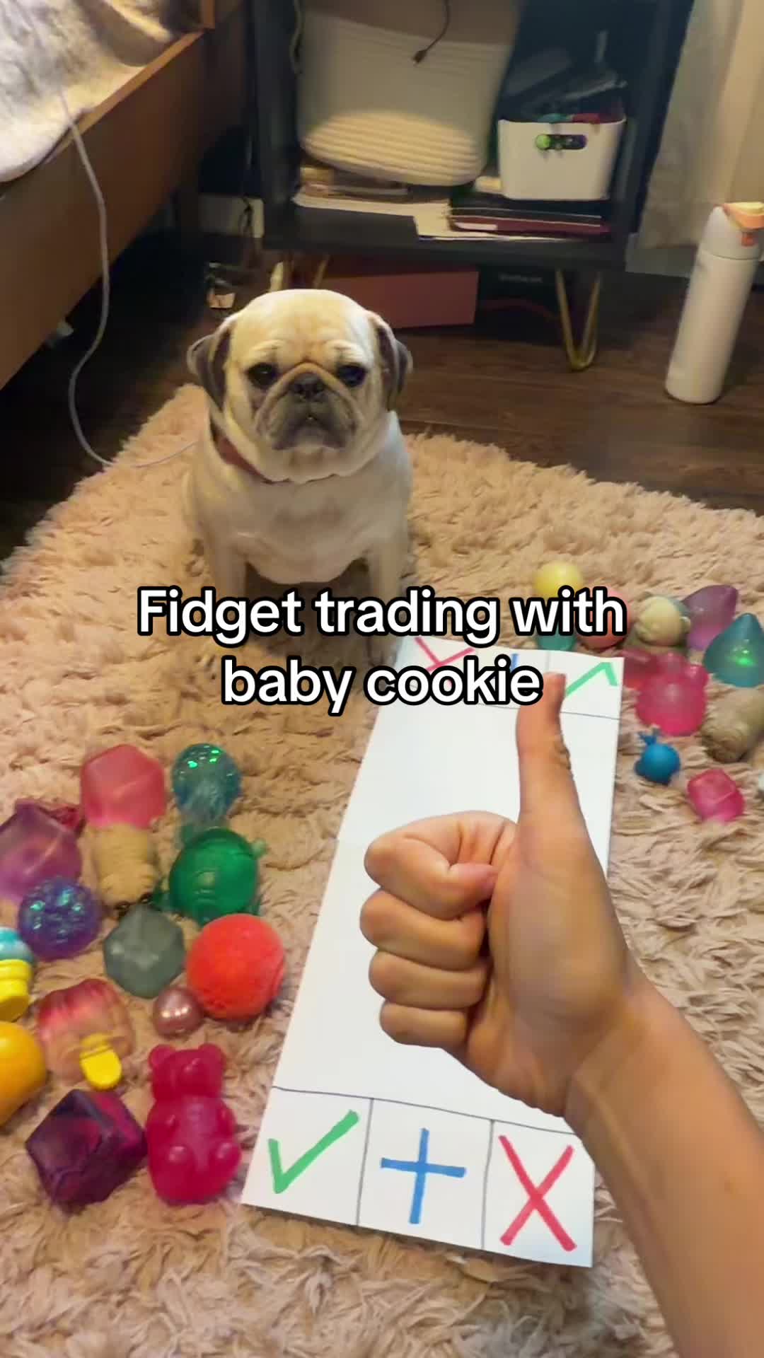 @babycookie
