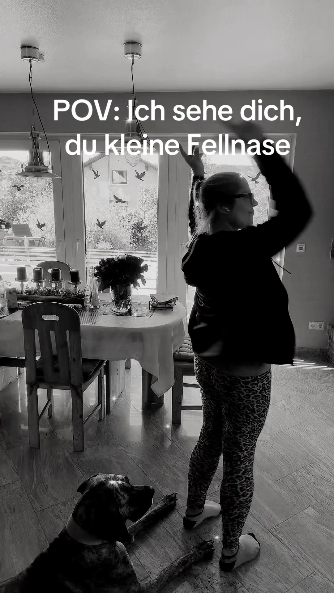 @sternschnuppe22